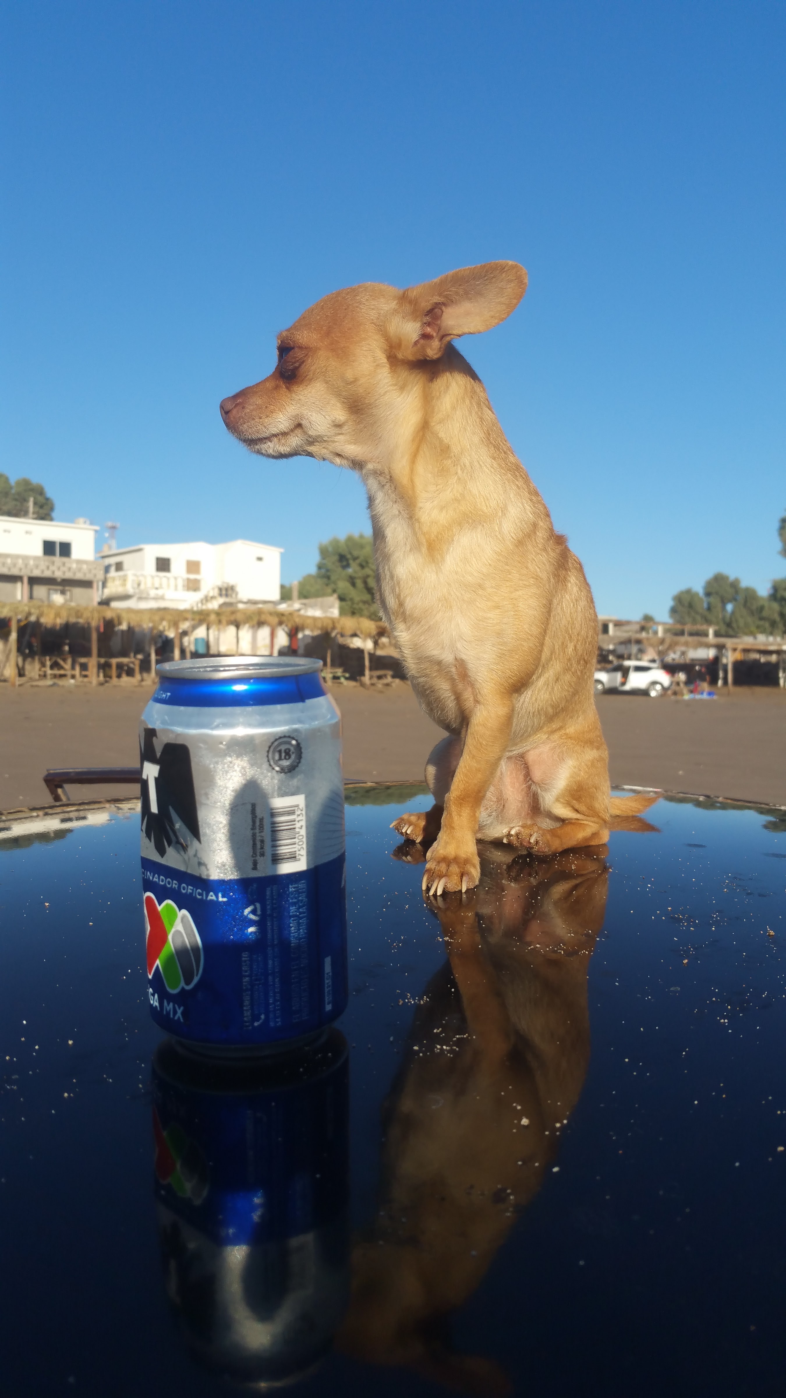 Mariscos Doña Mary V image 10