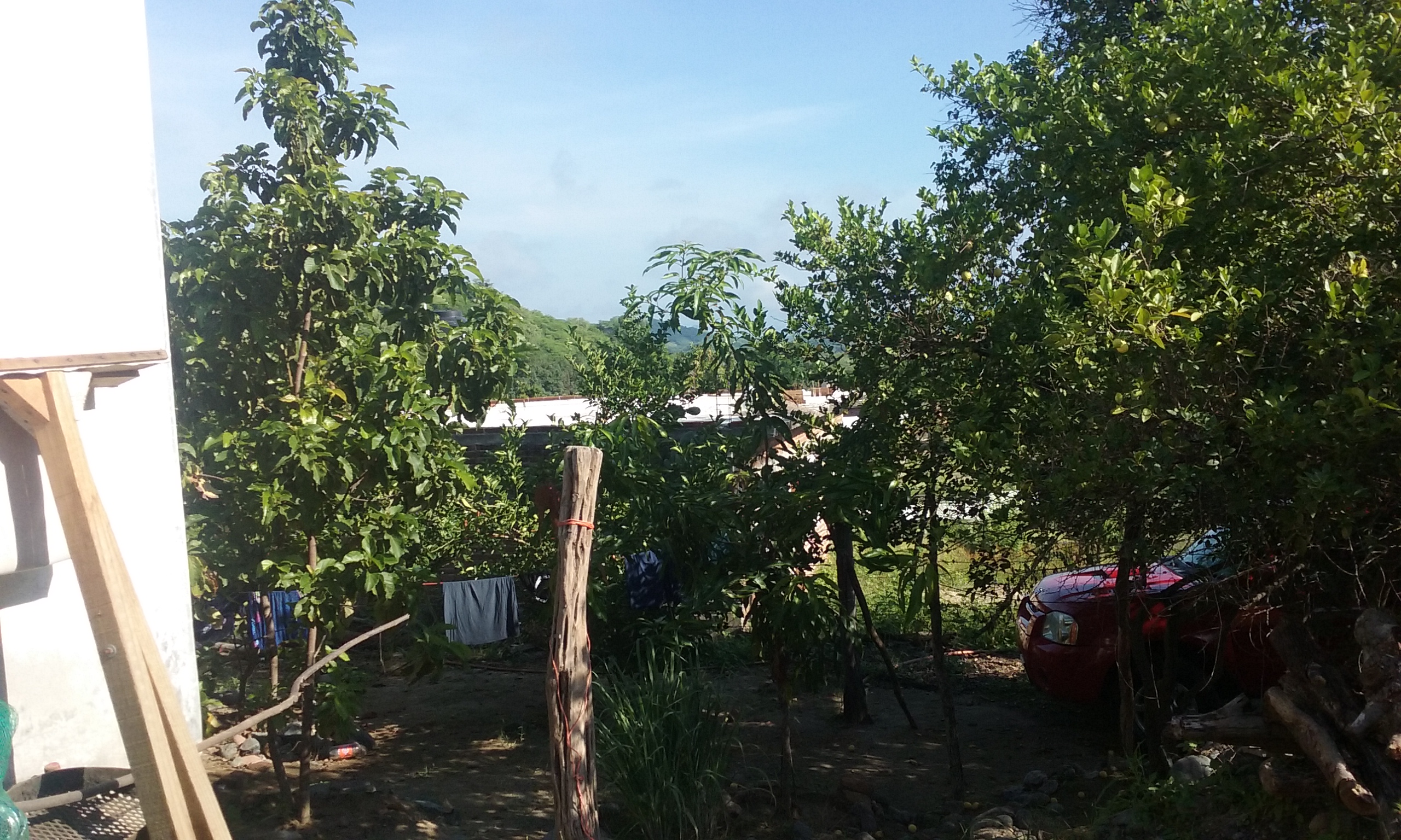 Tacos De Barbacoa La Plebada image 3