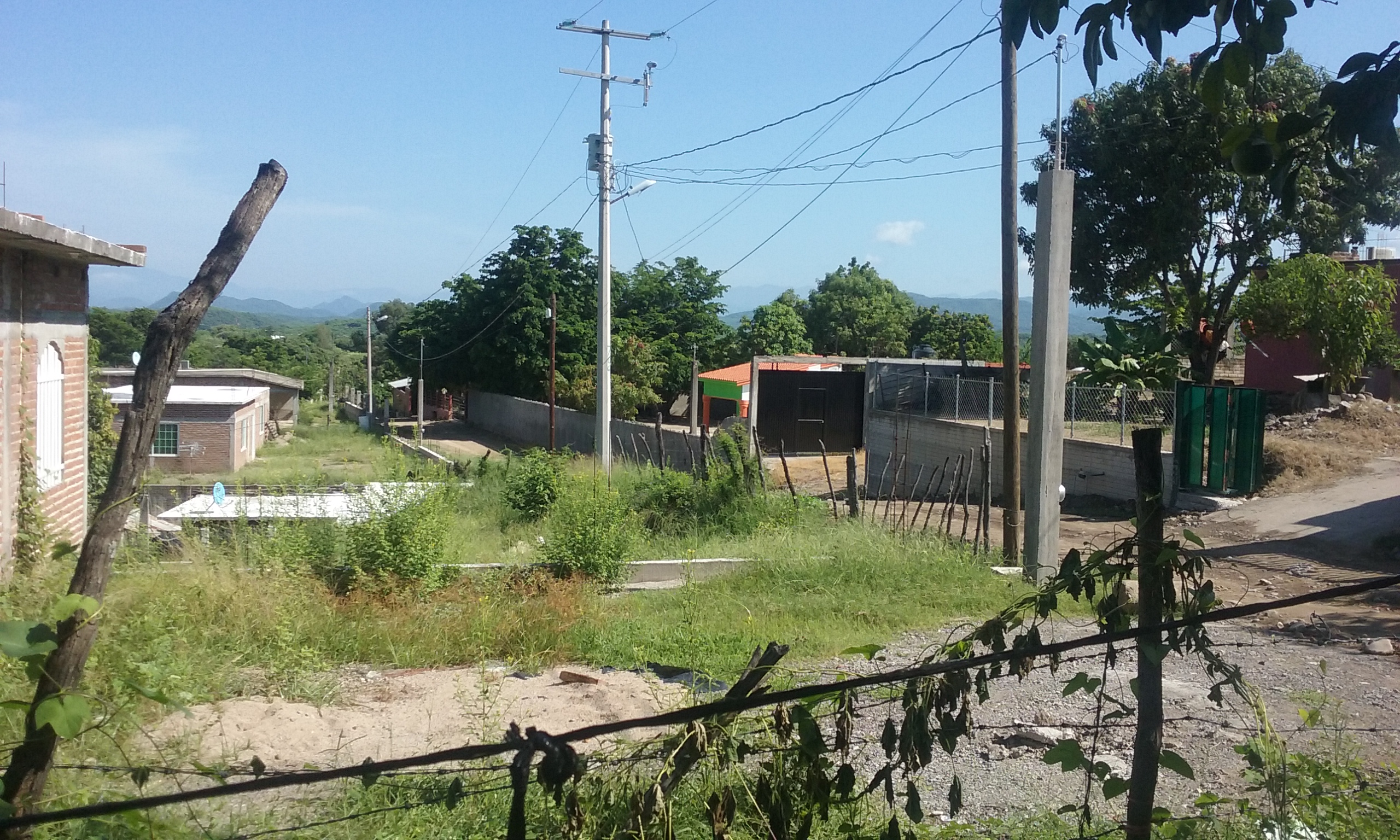 Tacos De Barbacoa La Plebada image 4