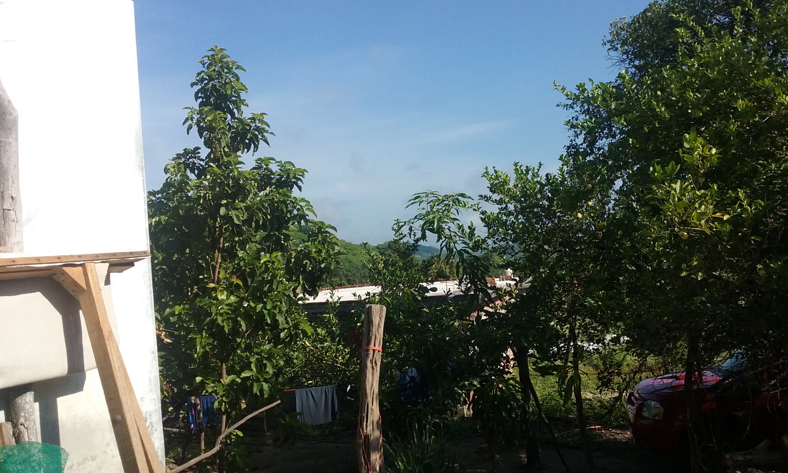 Tacos De Barbacoa La Plebada image 9