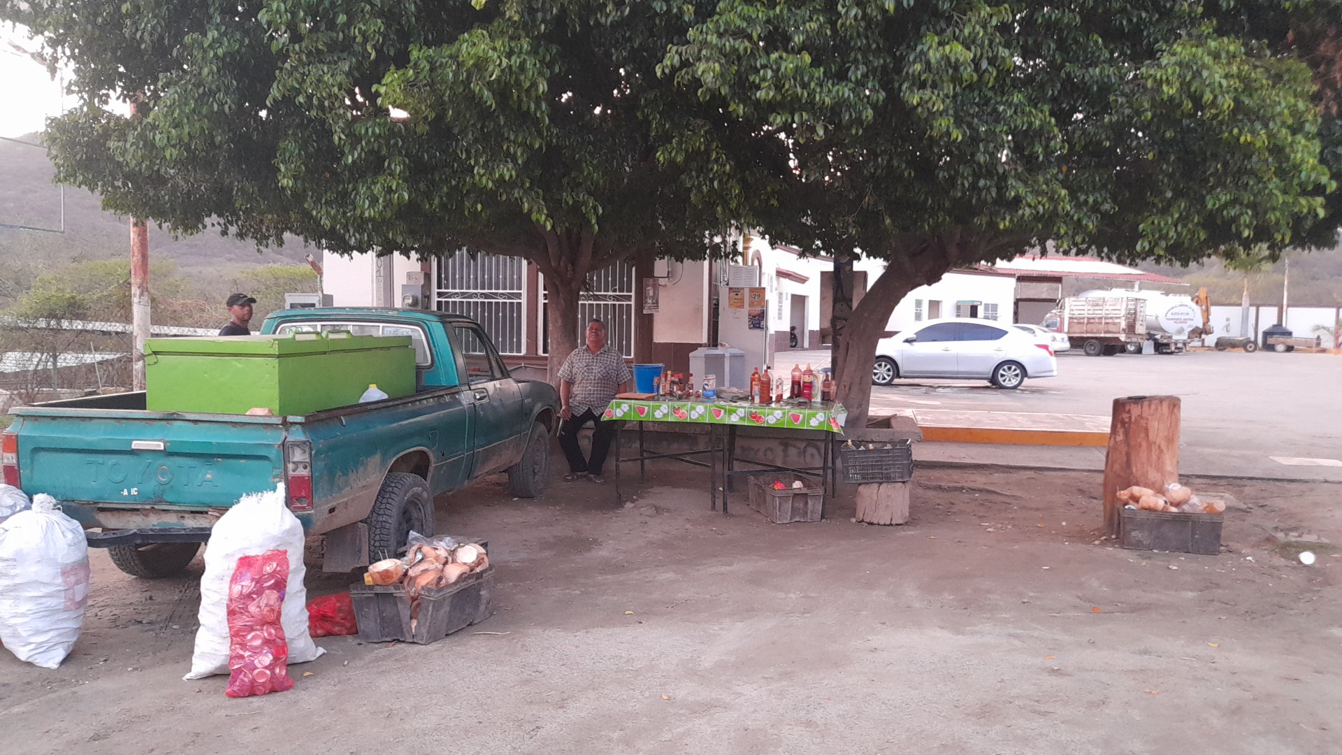 Cocos el hermano image 2