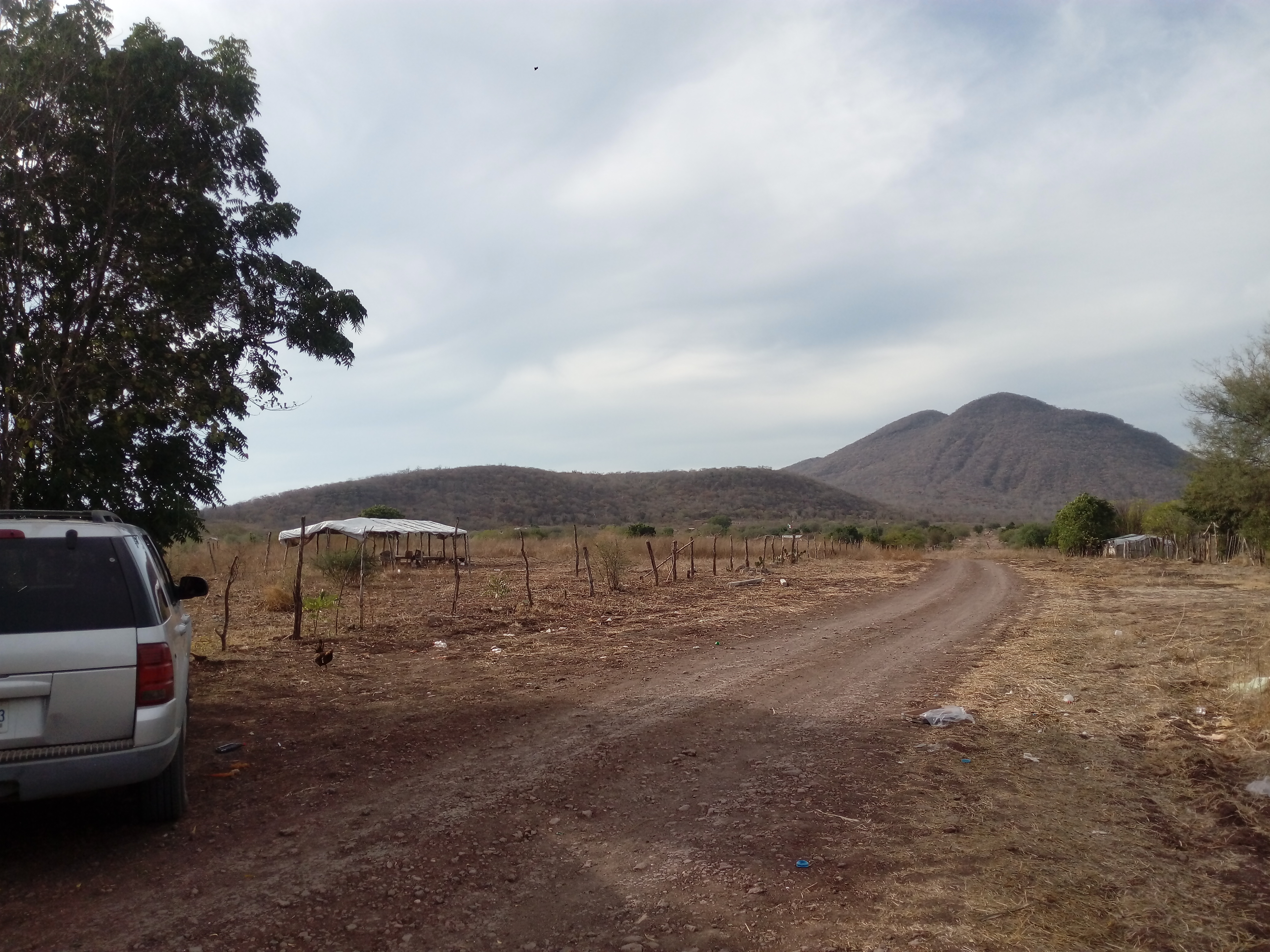 Mariscocos el “guero” image 8