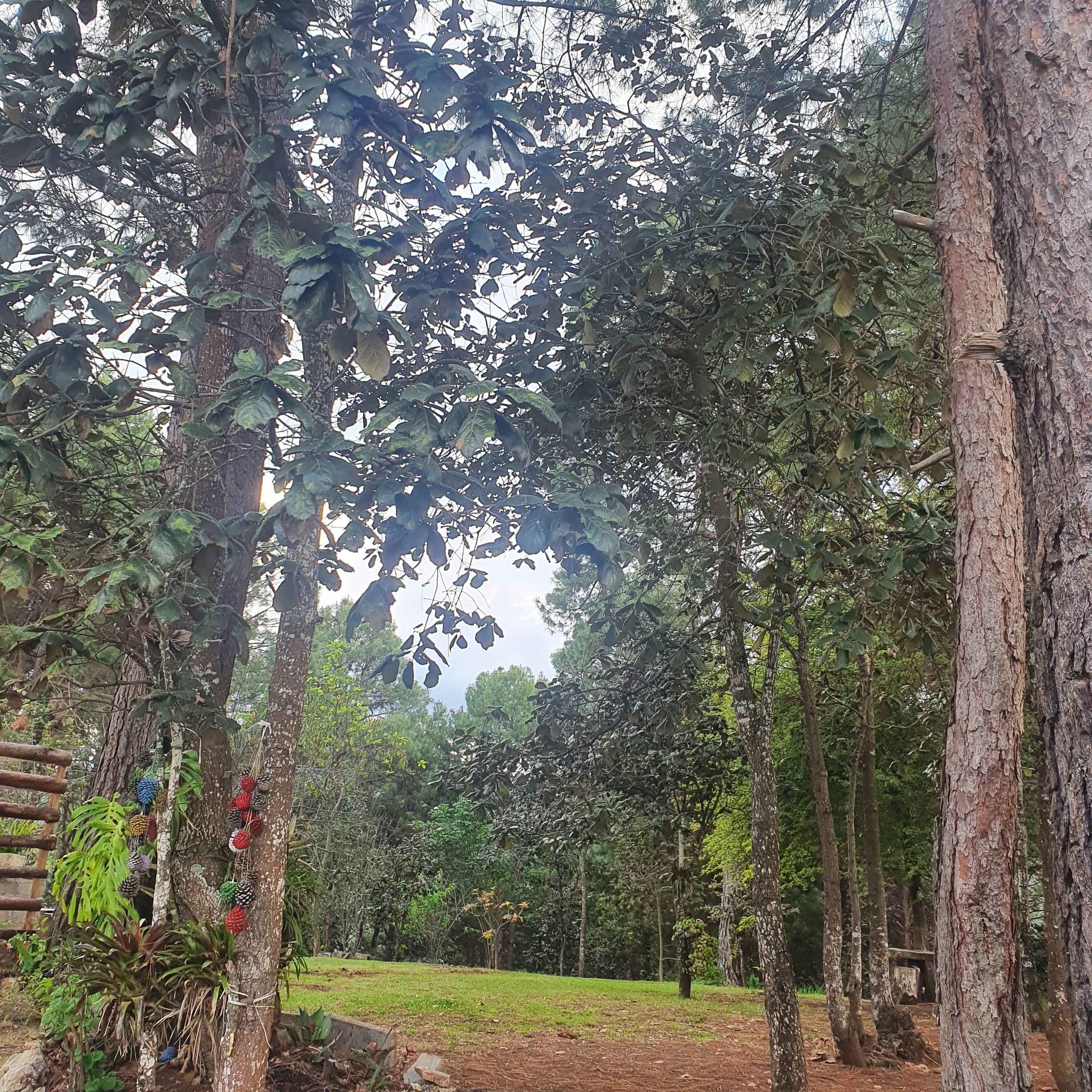 Restaurante Campestre Rincón del Poeta San Cristóbal image 3
