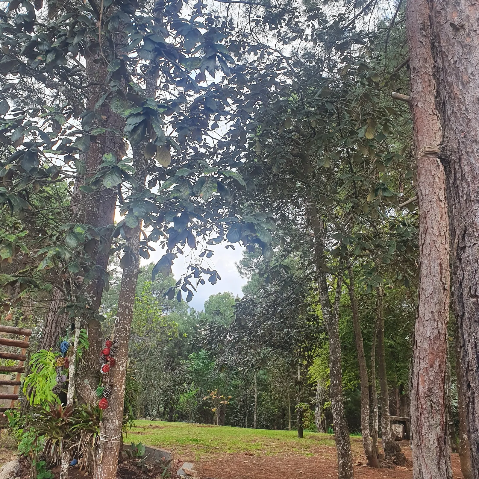 Restaurante Campestre Rincón del Poeta San Cristóbal image 3