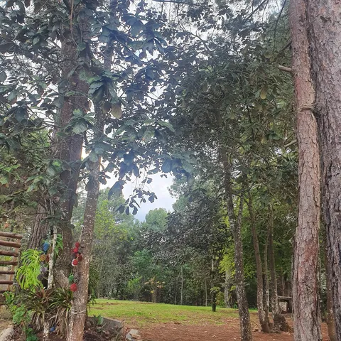 Restaurante Campestre Rincón del Poeta San Cristóbal image 3