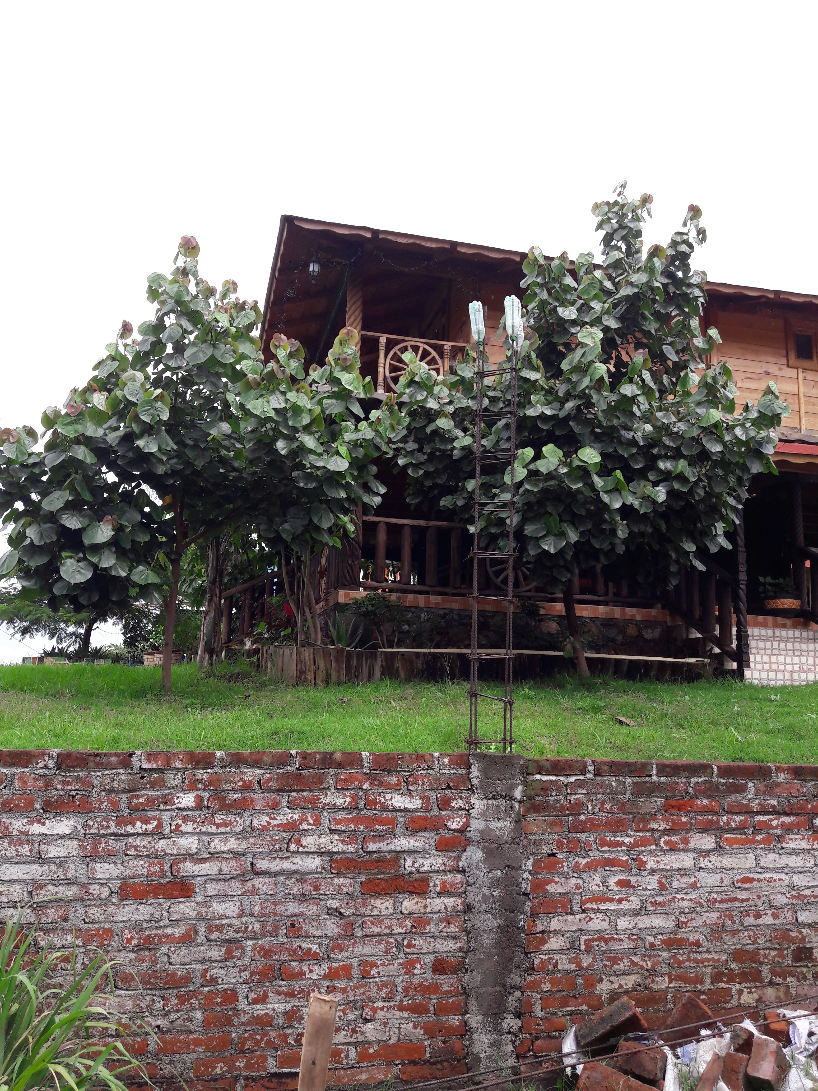 Restaurant El SABINO image 1