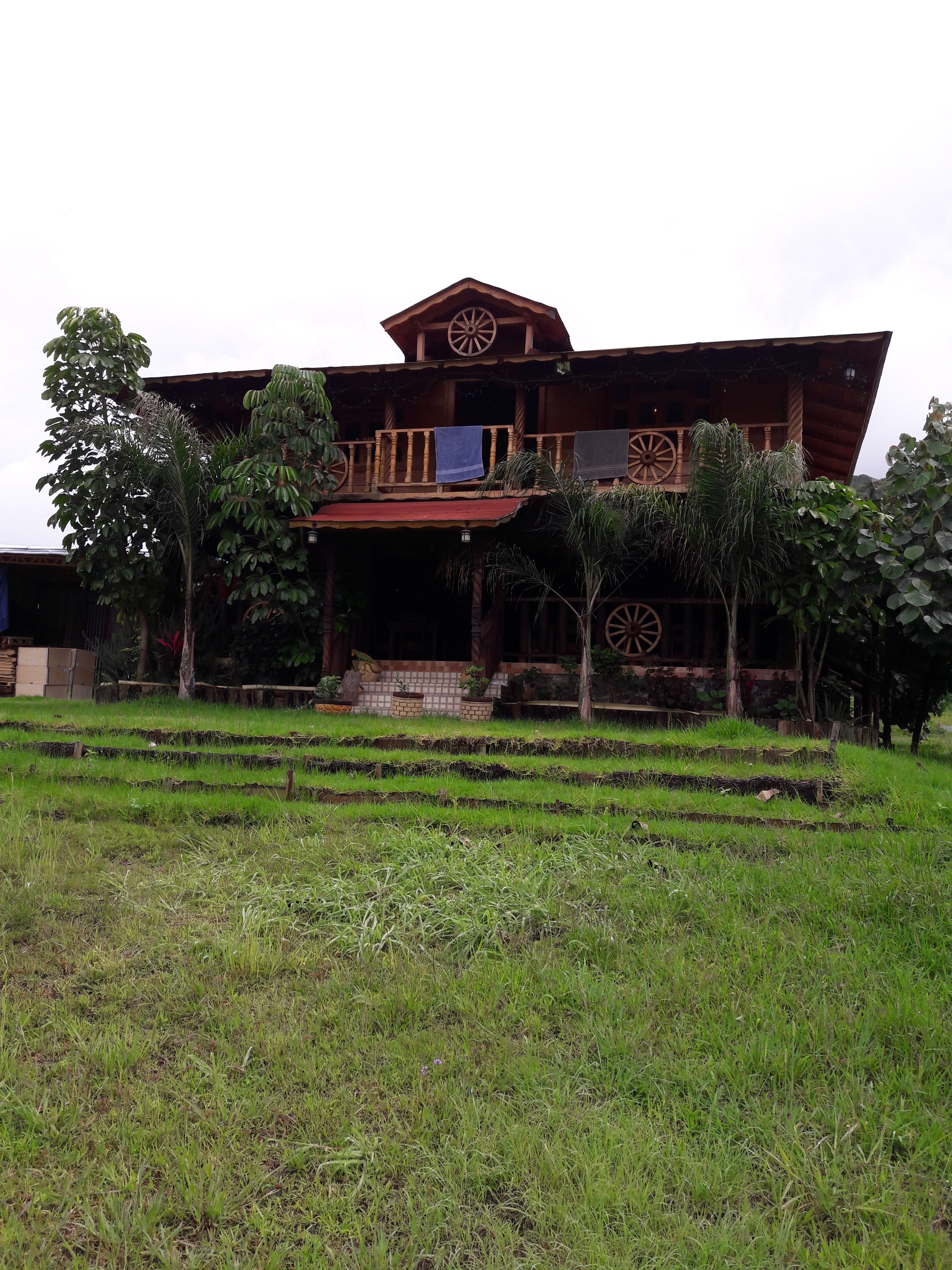Restaurant El SABINO image 3