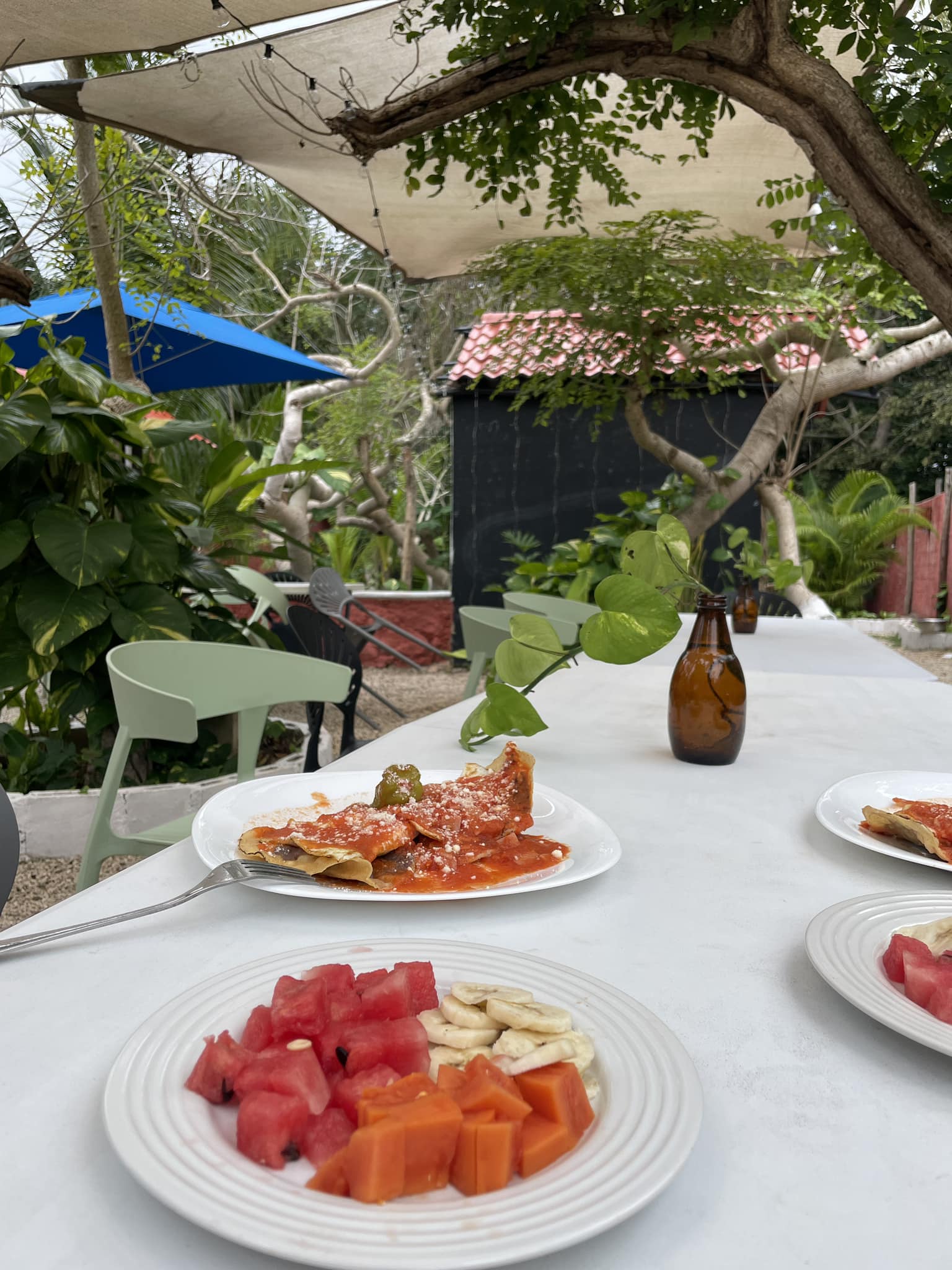 K’iiwiK Café - Sacalum image 3