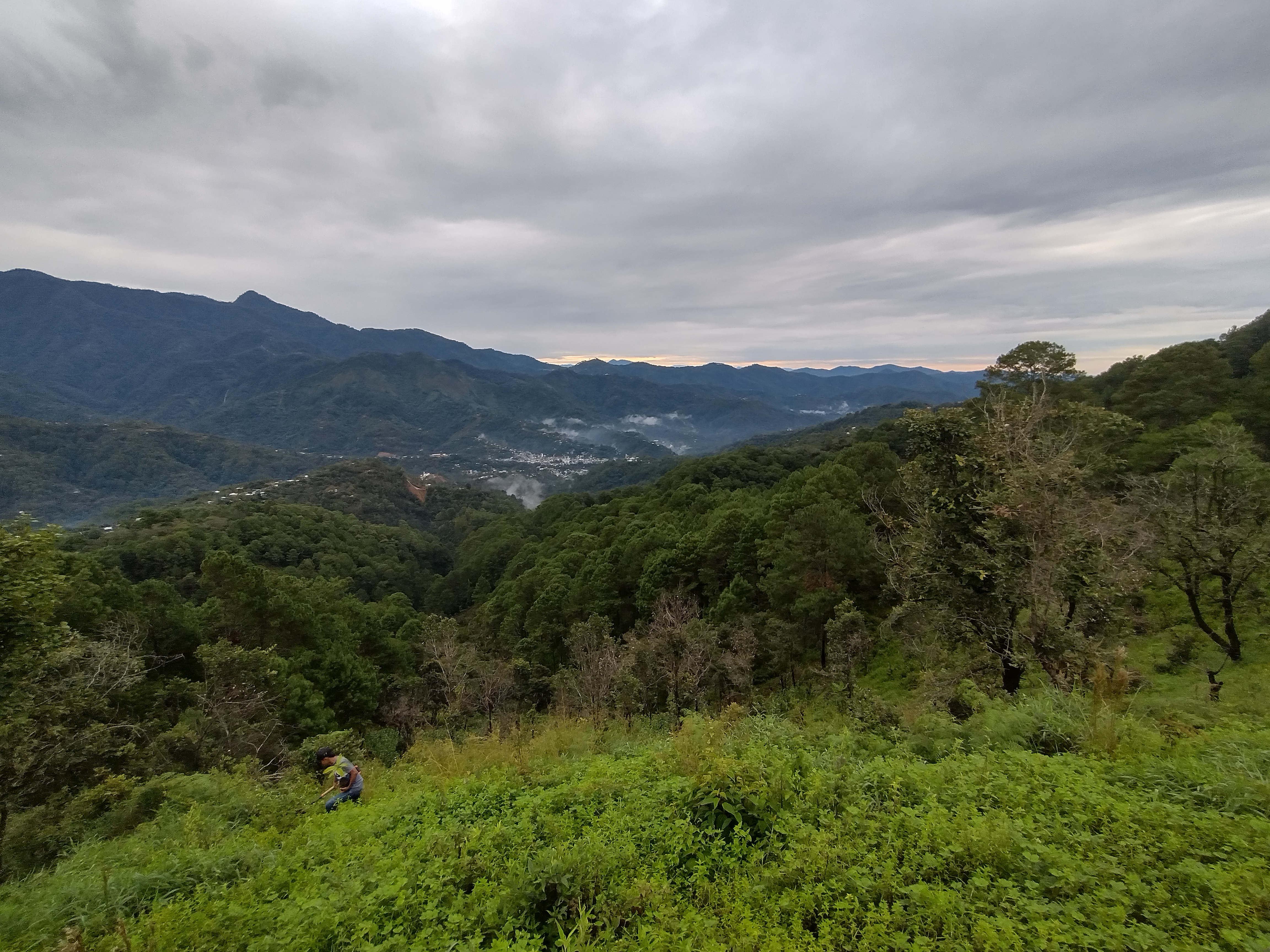 HOTEL, RESTAURANT Y MARISQUERÍA "EL PACIFICO" ILIATENCO, GRO. image 4