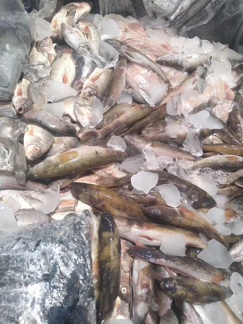 Pescados Y Mariscos "La Mojarrita" image 1