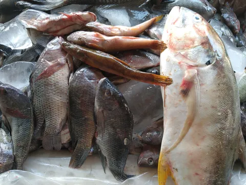 Pescados Y Mariscos "La Mojarrita" image 2