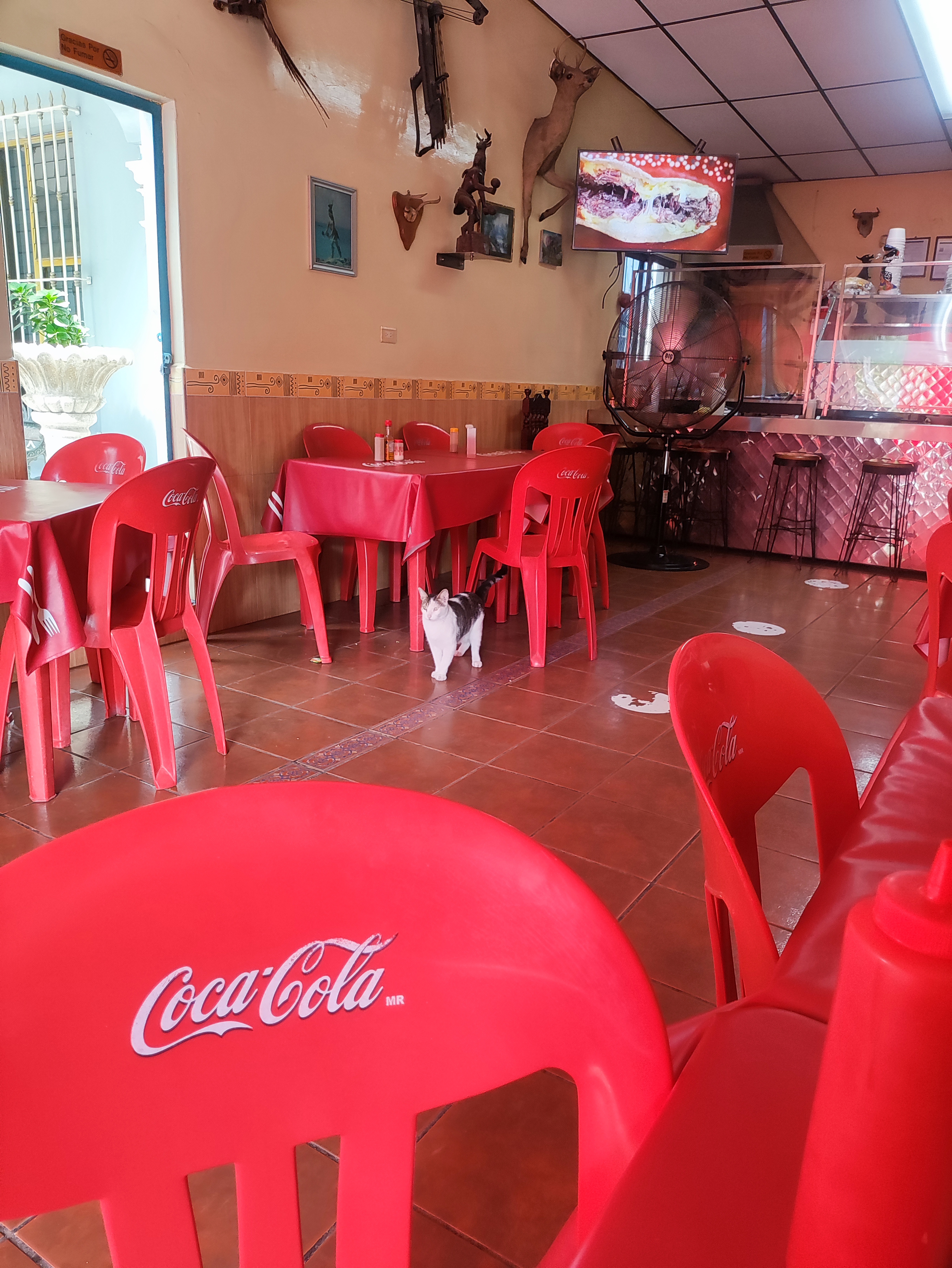 Restaurante El Yaqui image 5