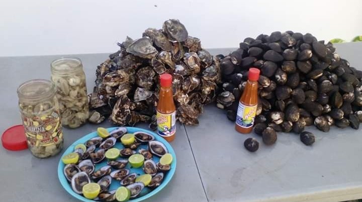 Mariscos El Viagras JC image 4