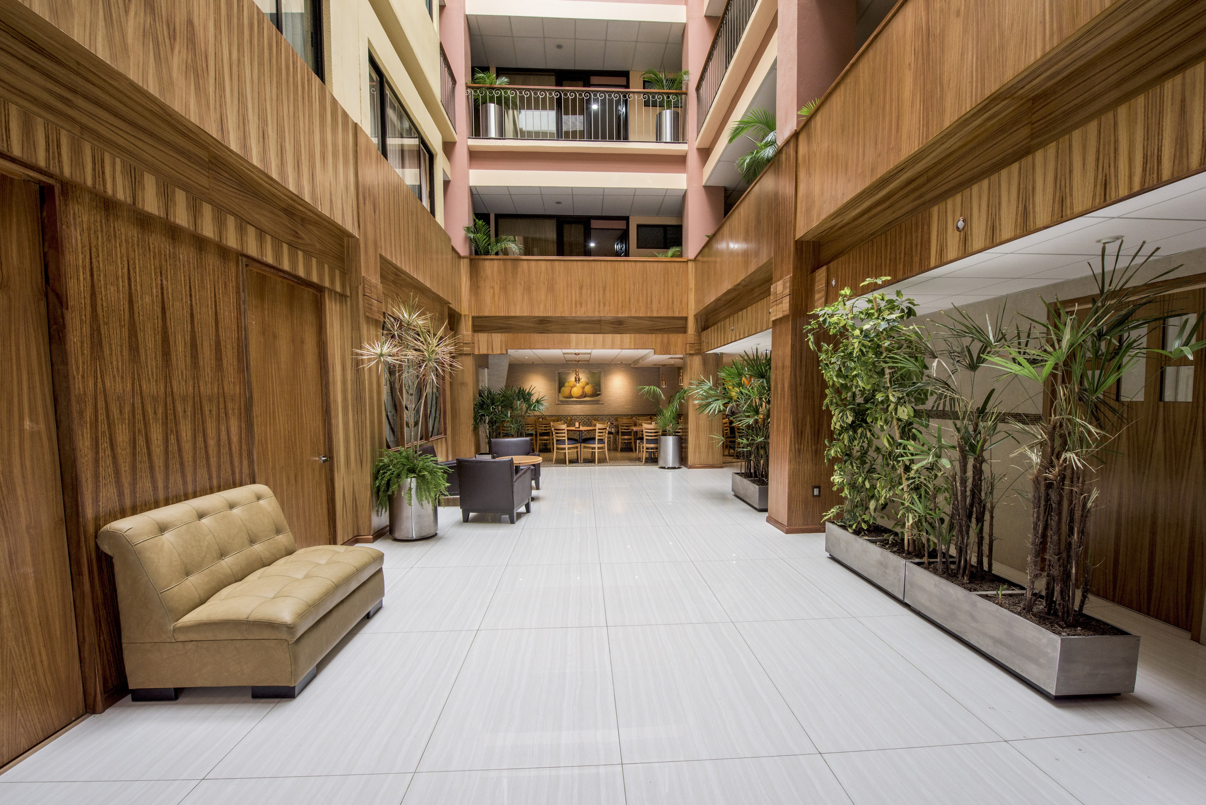 El Museo de la Botana Y RESTAURANTE LOS GERANIOS (hotel oaxaca inn reforma) image 6