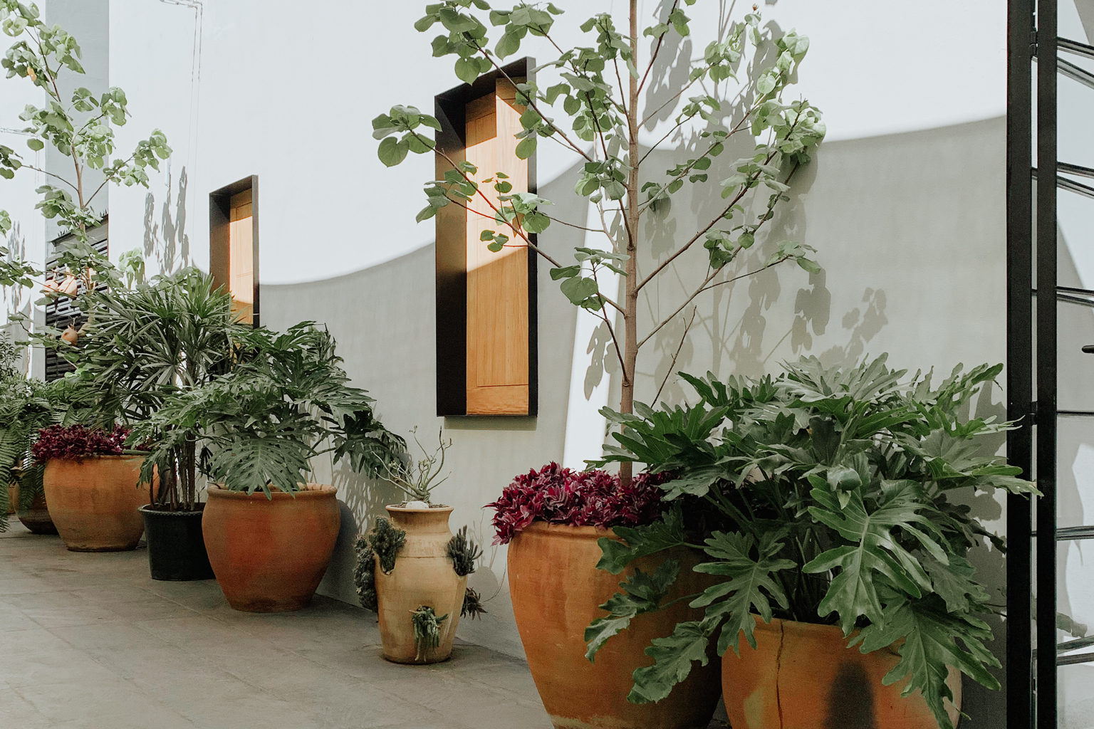 Endémico Restaurante image 5