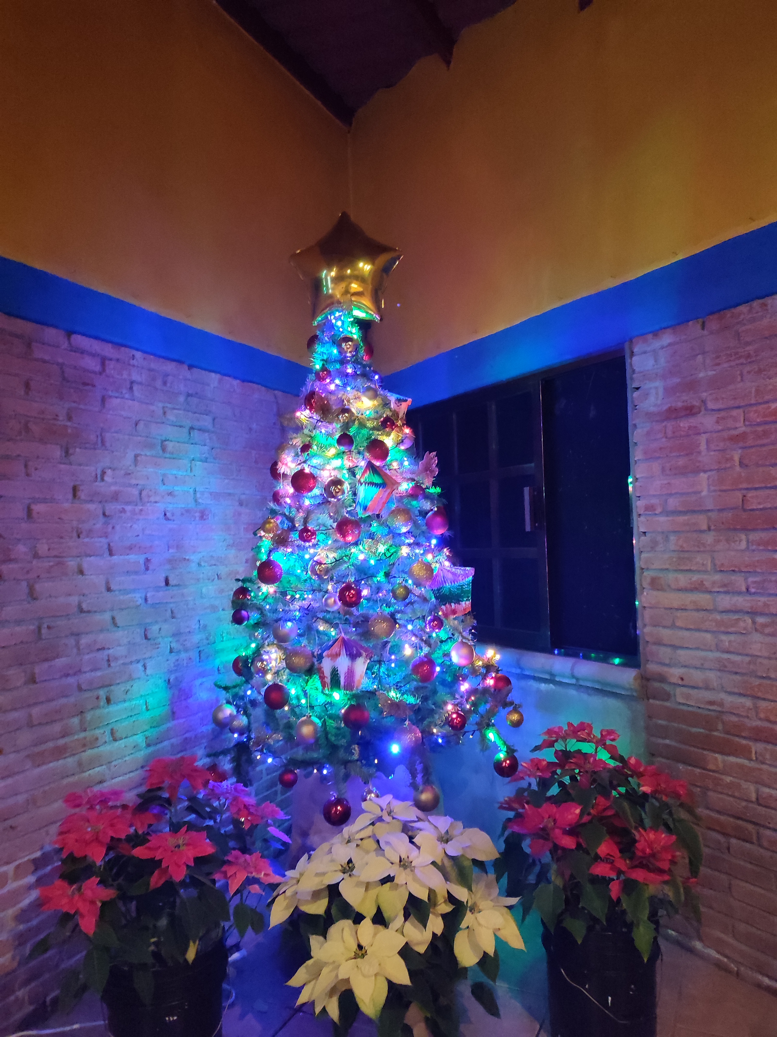 KM 13 Restaurante image 10