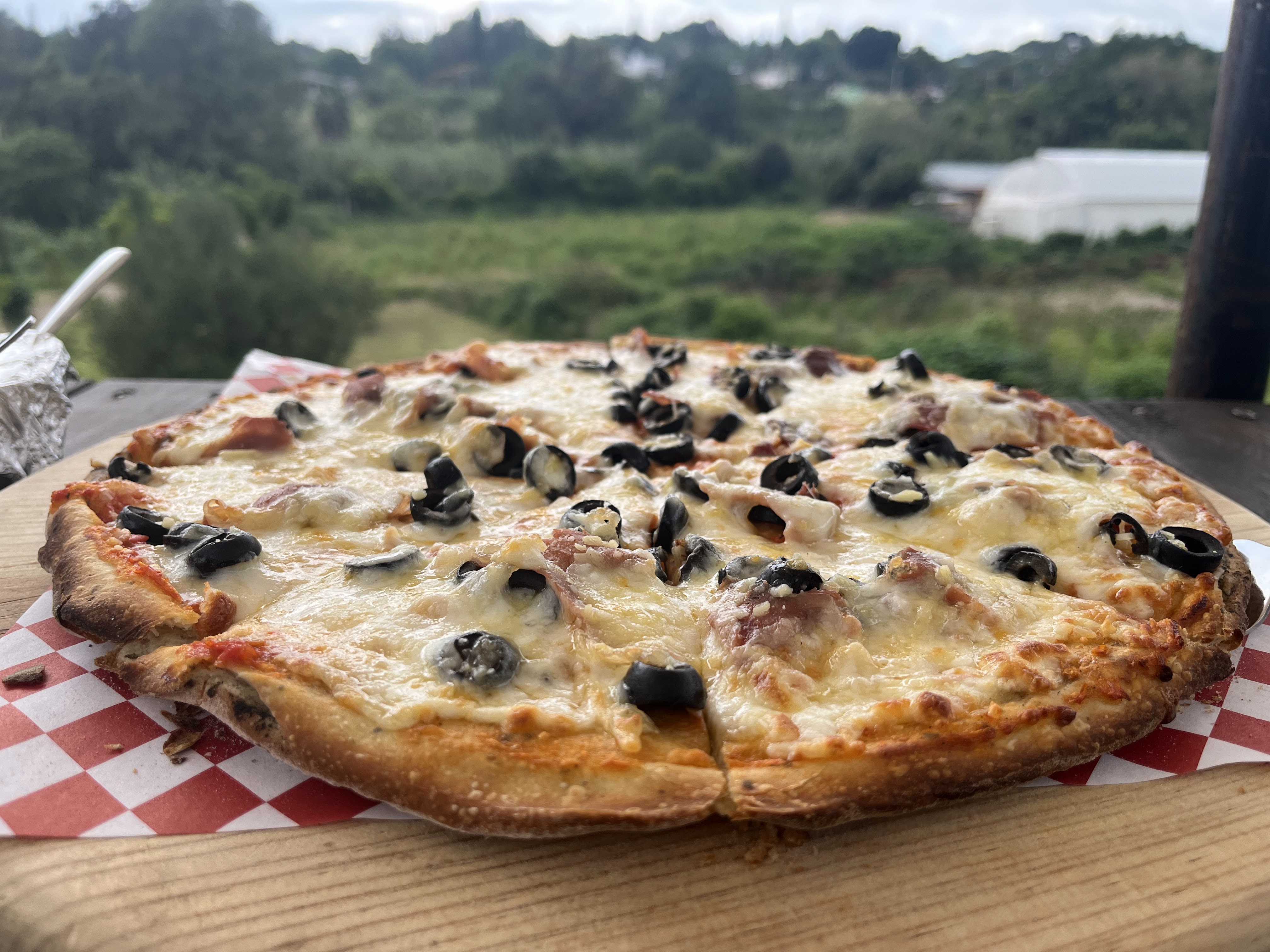 cervecería la cura image 9