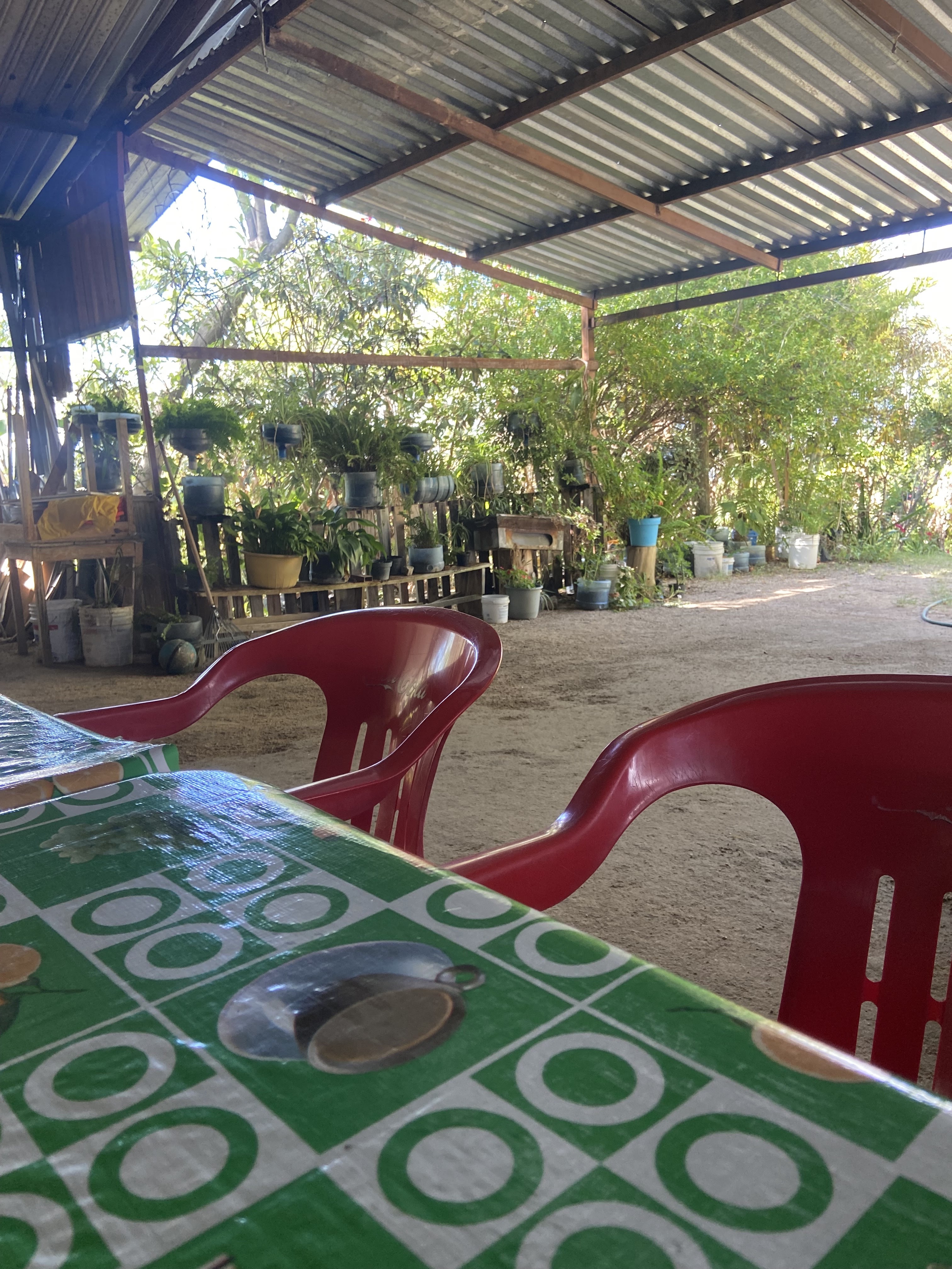 Campestre San Agustin image 3