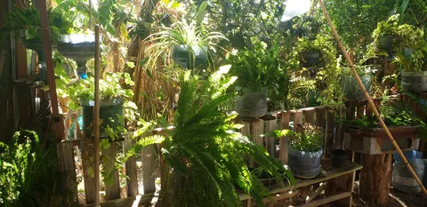 Campestre San Agustin image 8