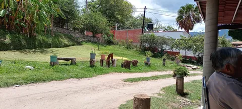 Comedor Doña Leo image 5