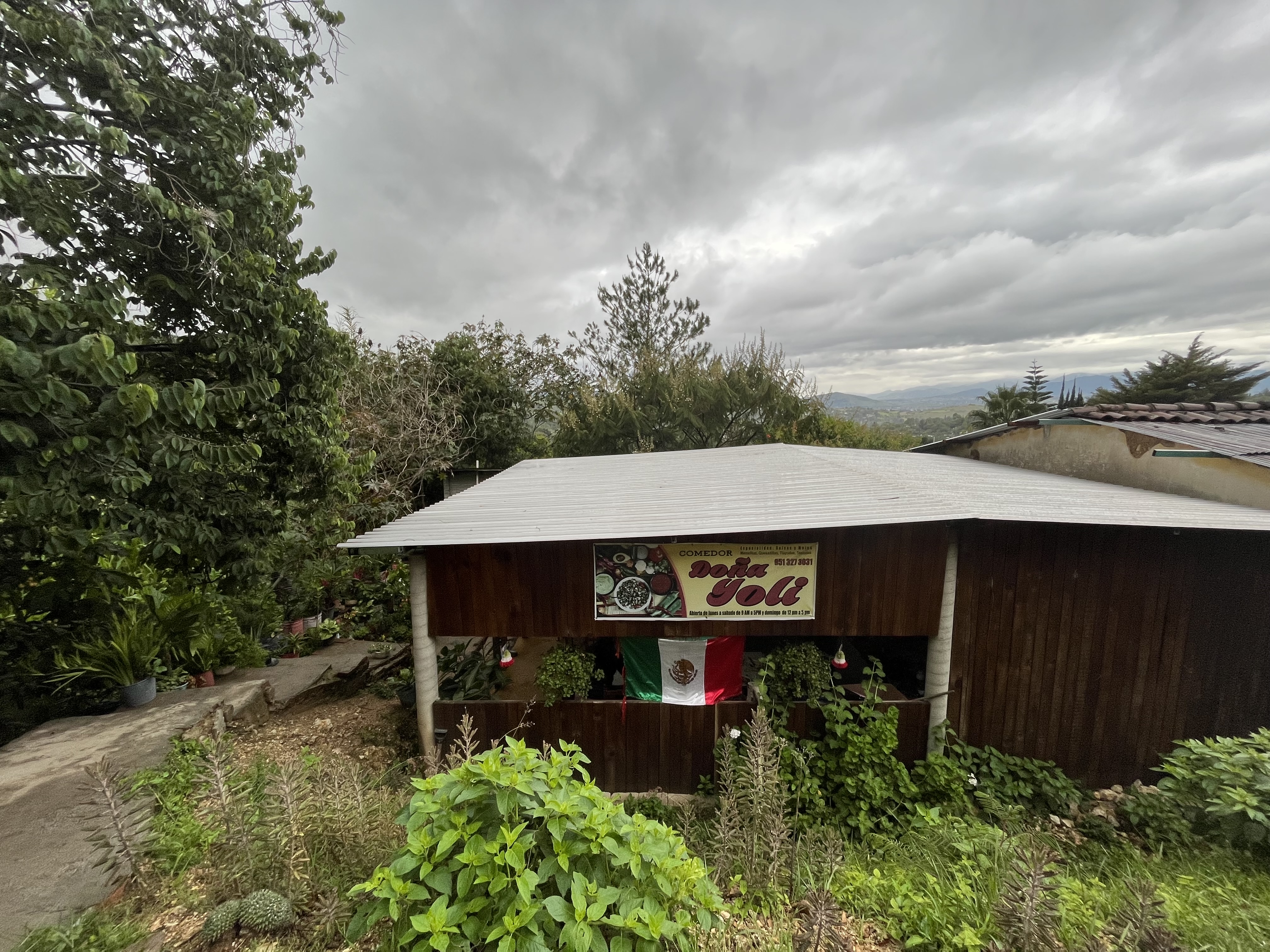 COMEDOR "DOÑA YOLY" image 9