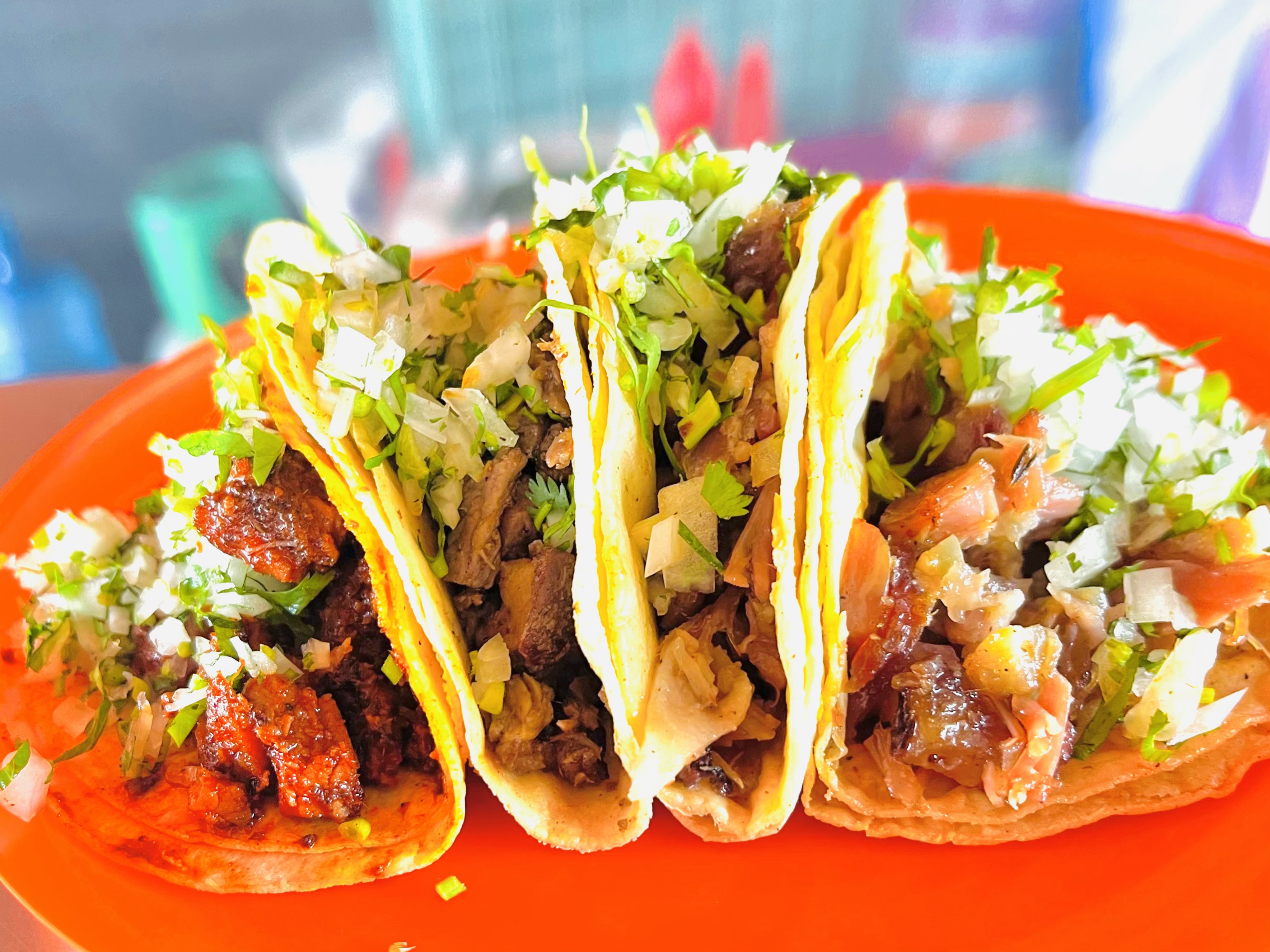 Gran Festín image 4