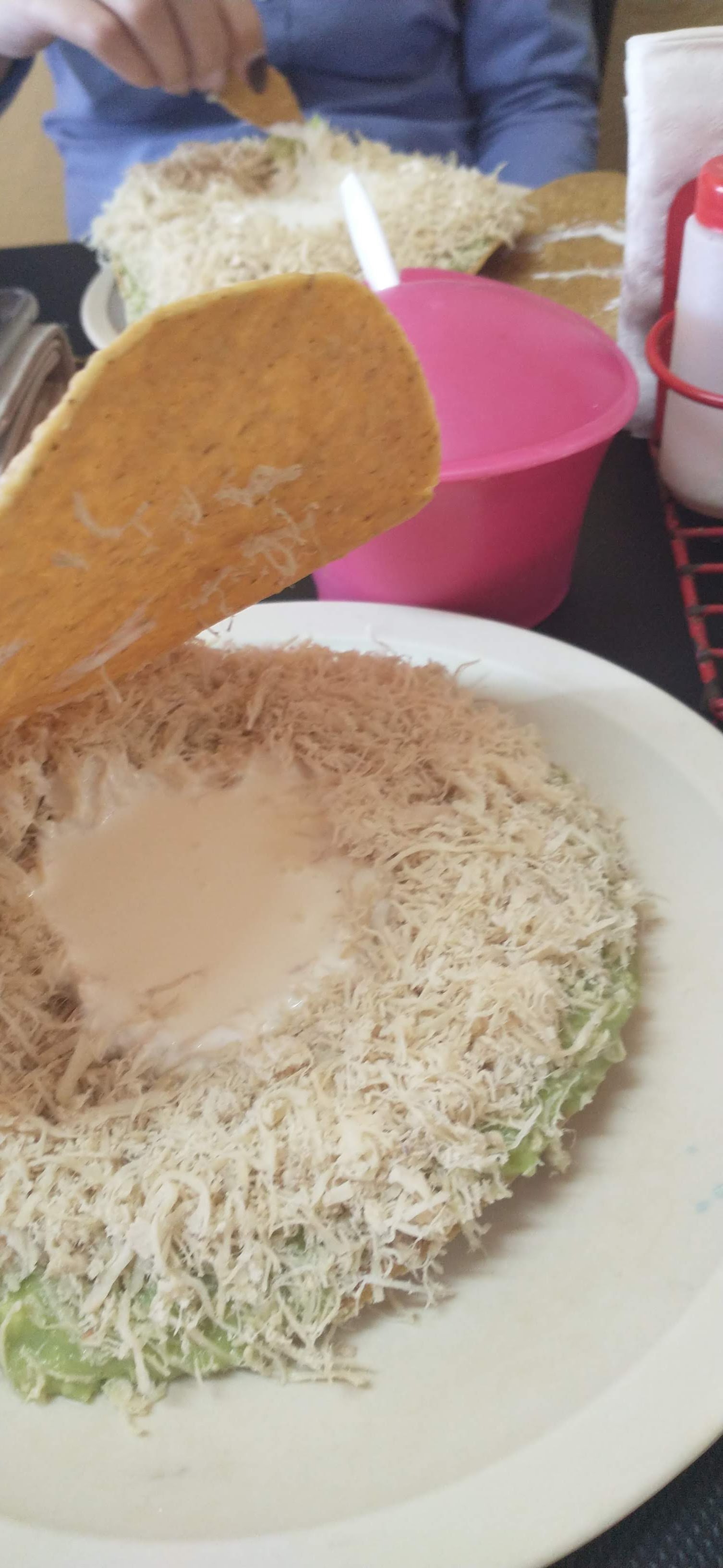 TACOS Y TOSTADAS GARZA 1 image 9