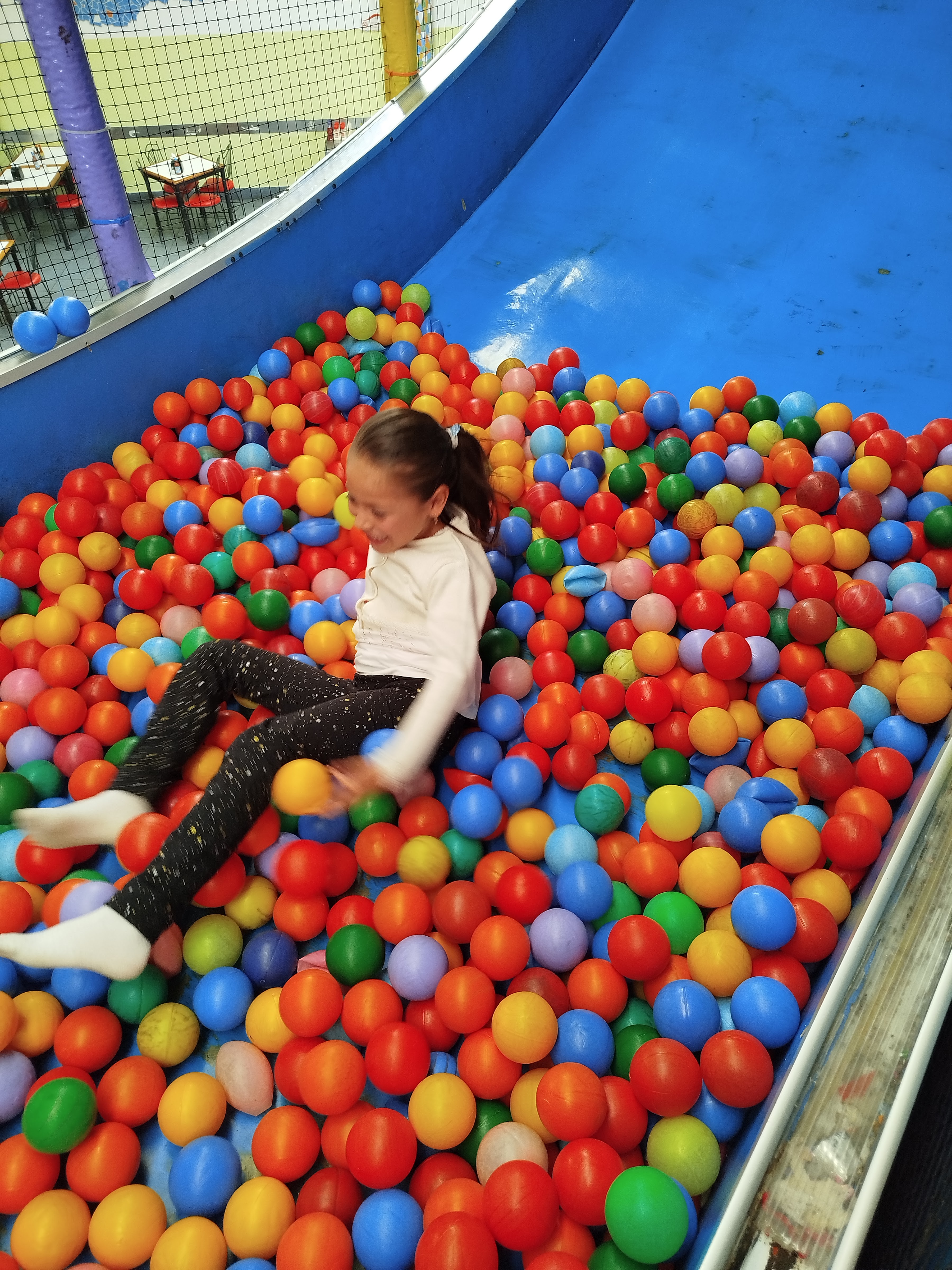 Aldamary (Sucursal Tulipanes) image 3