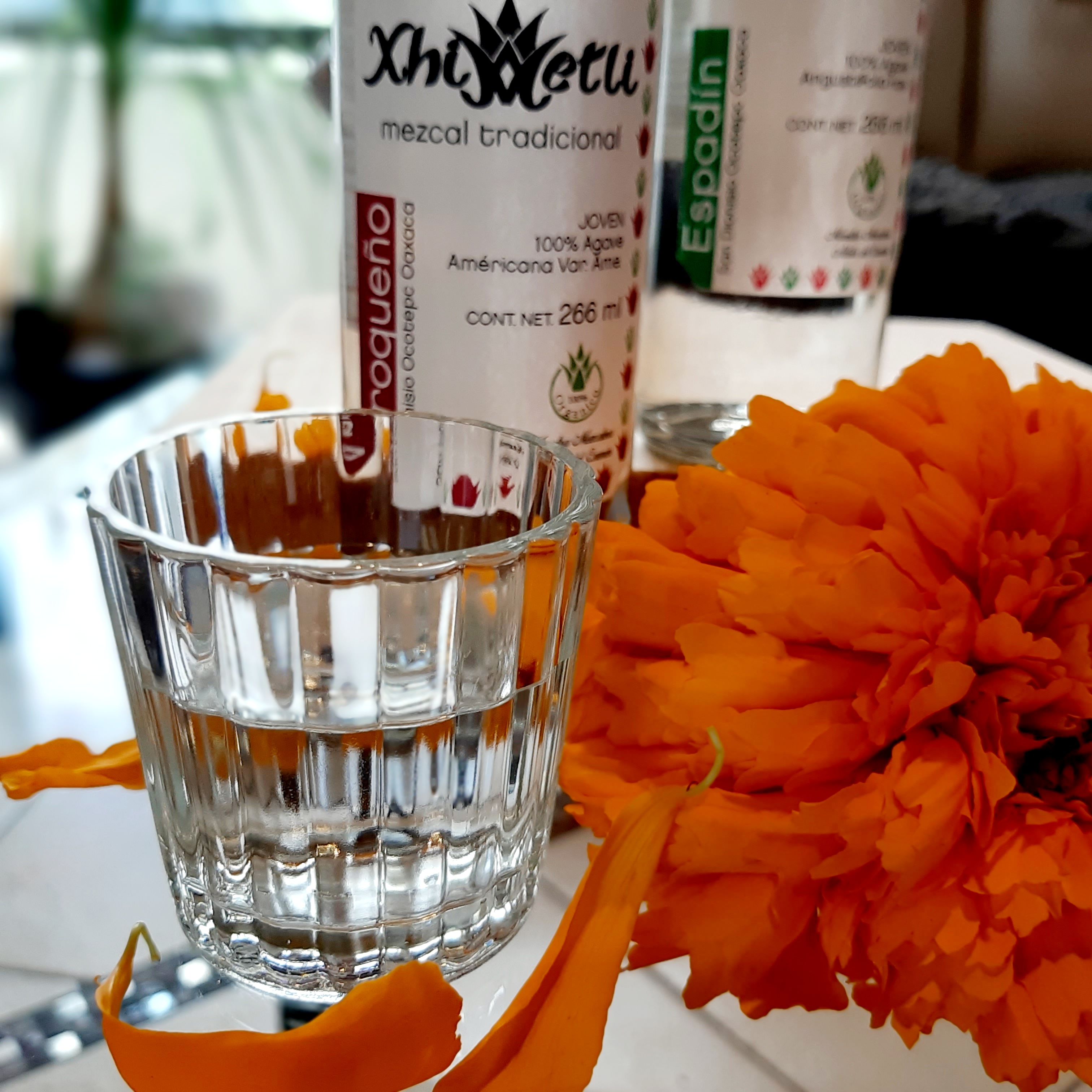 Mezcal Xhimetli image 3