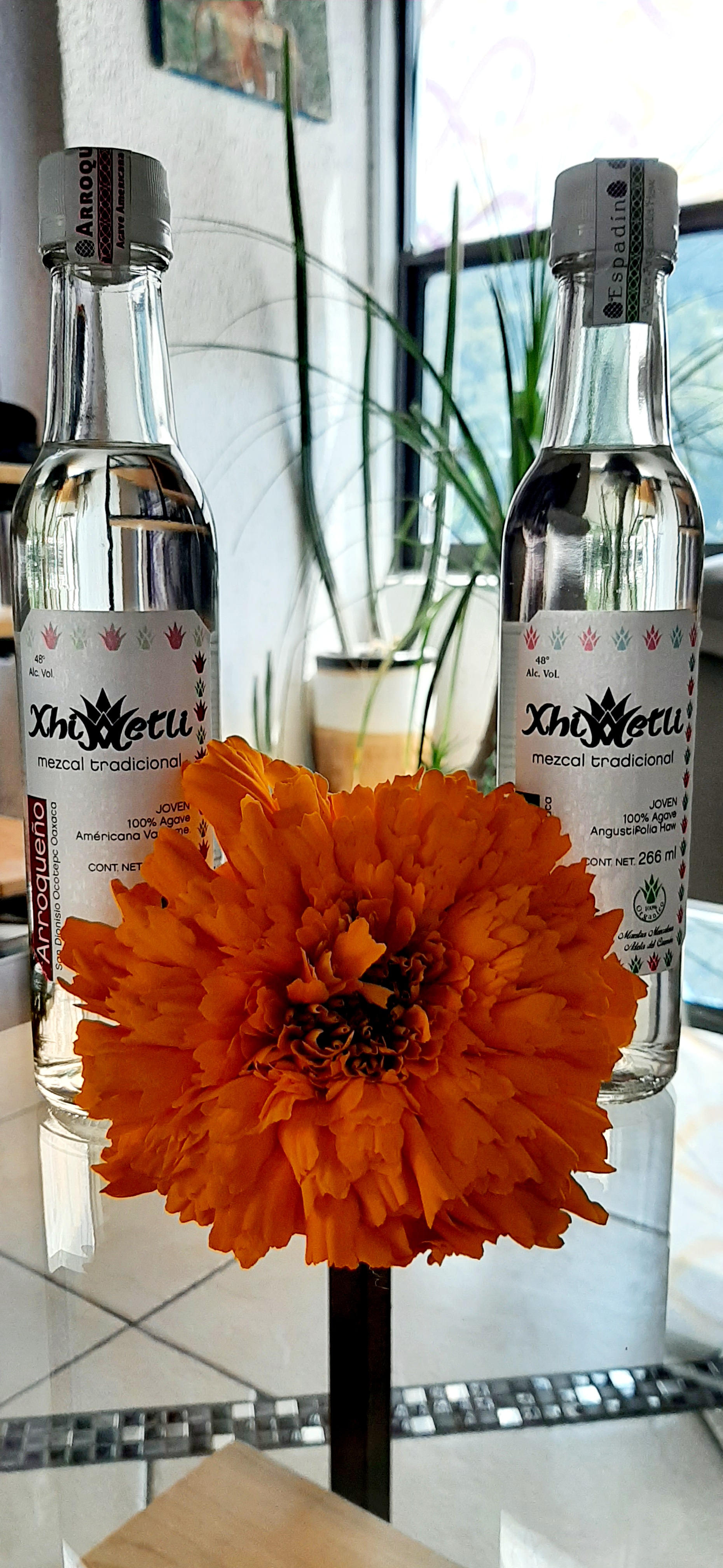 Mezcal Xhimetli image 6