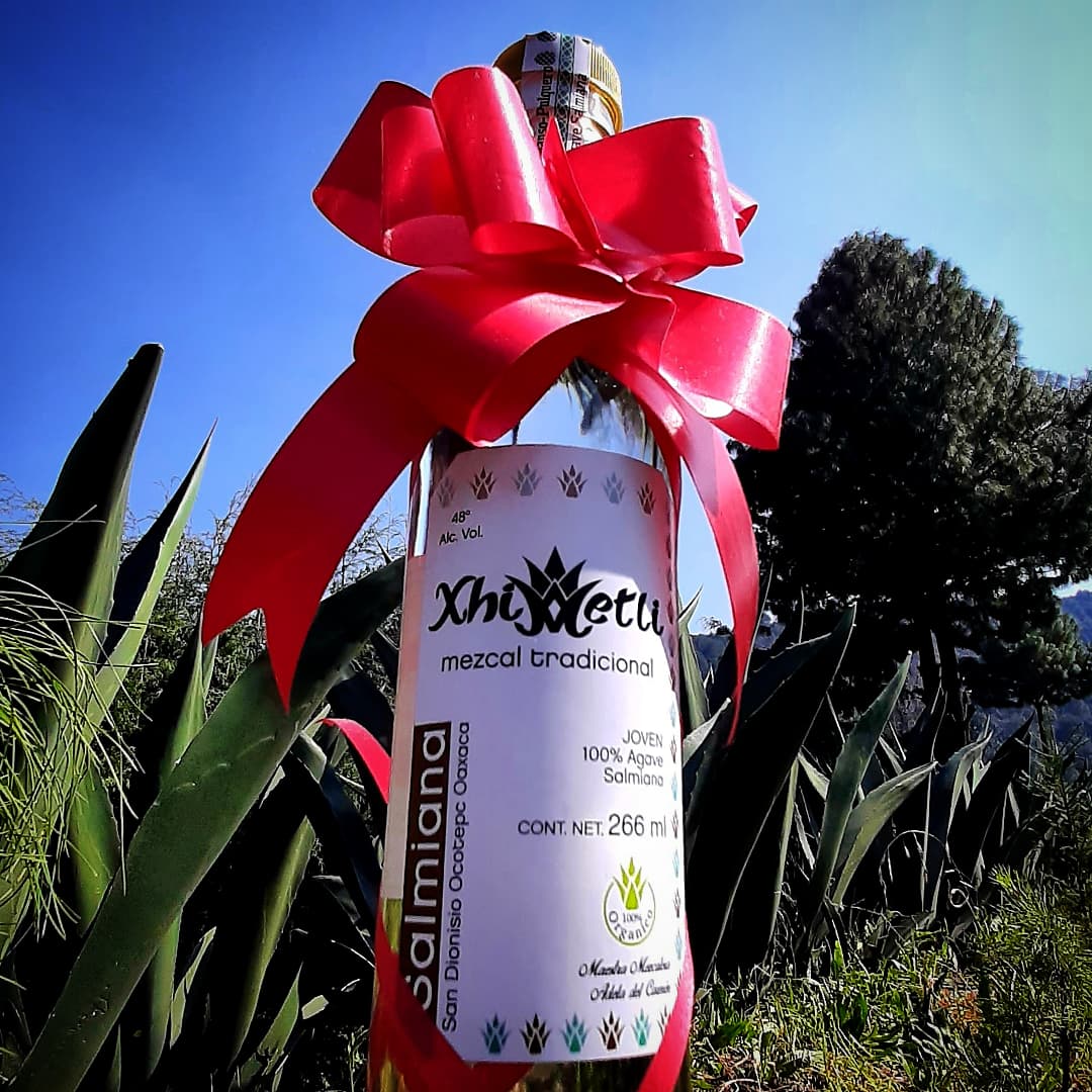 Mezcal Xhimetli image 7