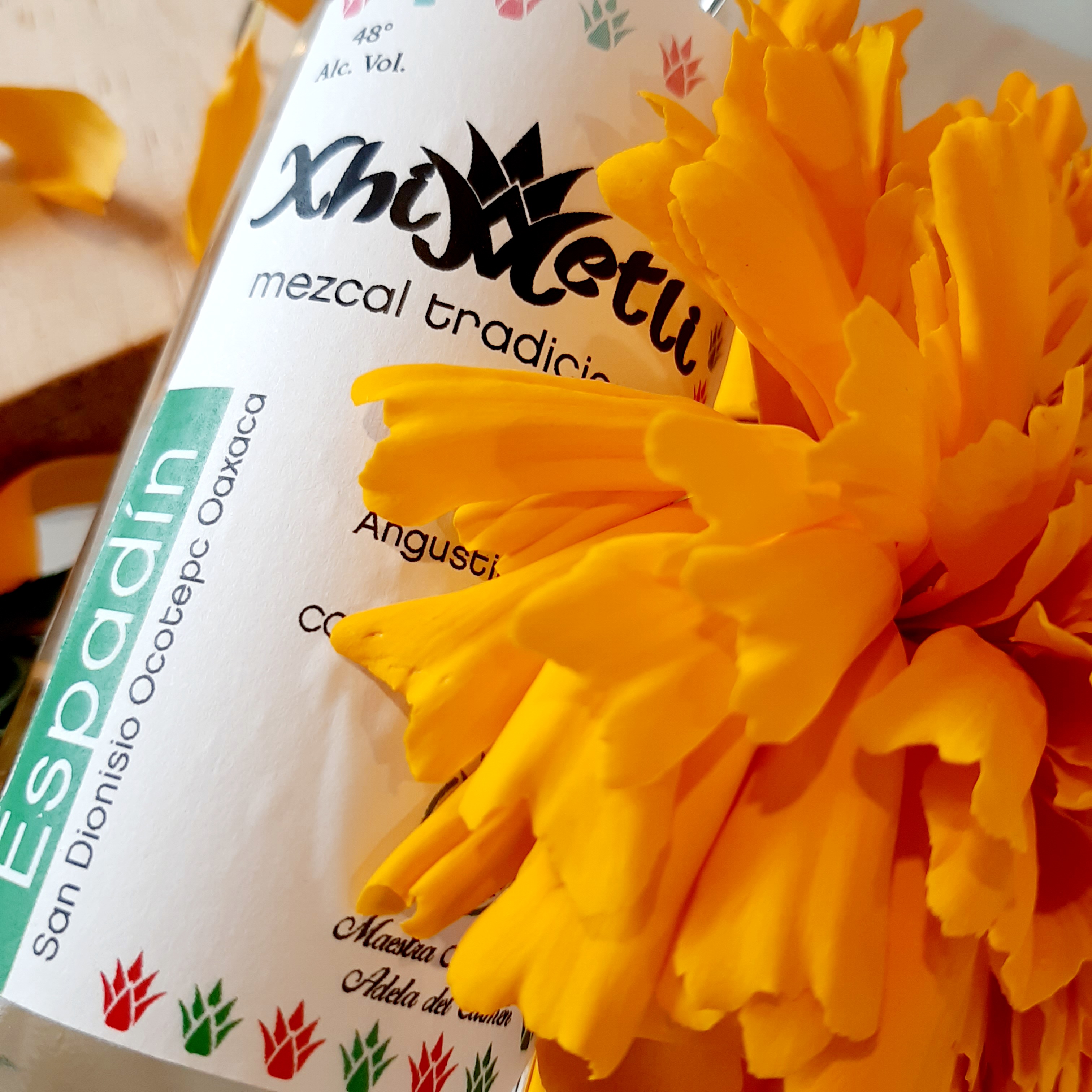 Mezcal Xhimetli image 9