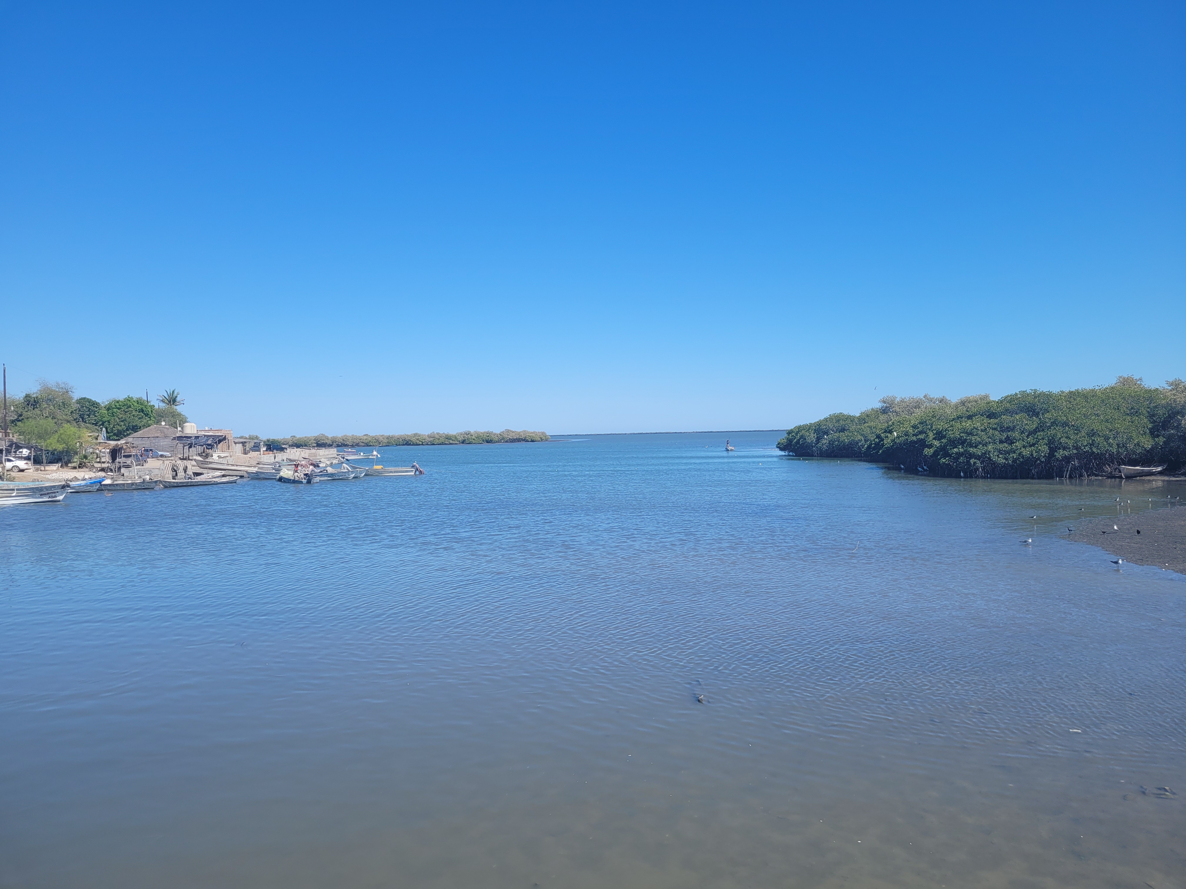 Mariscos El Beny image 3