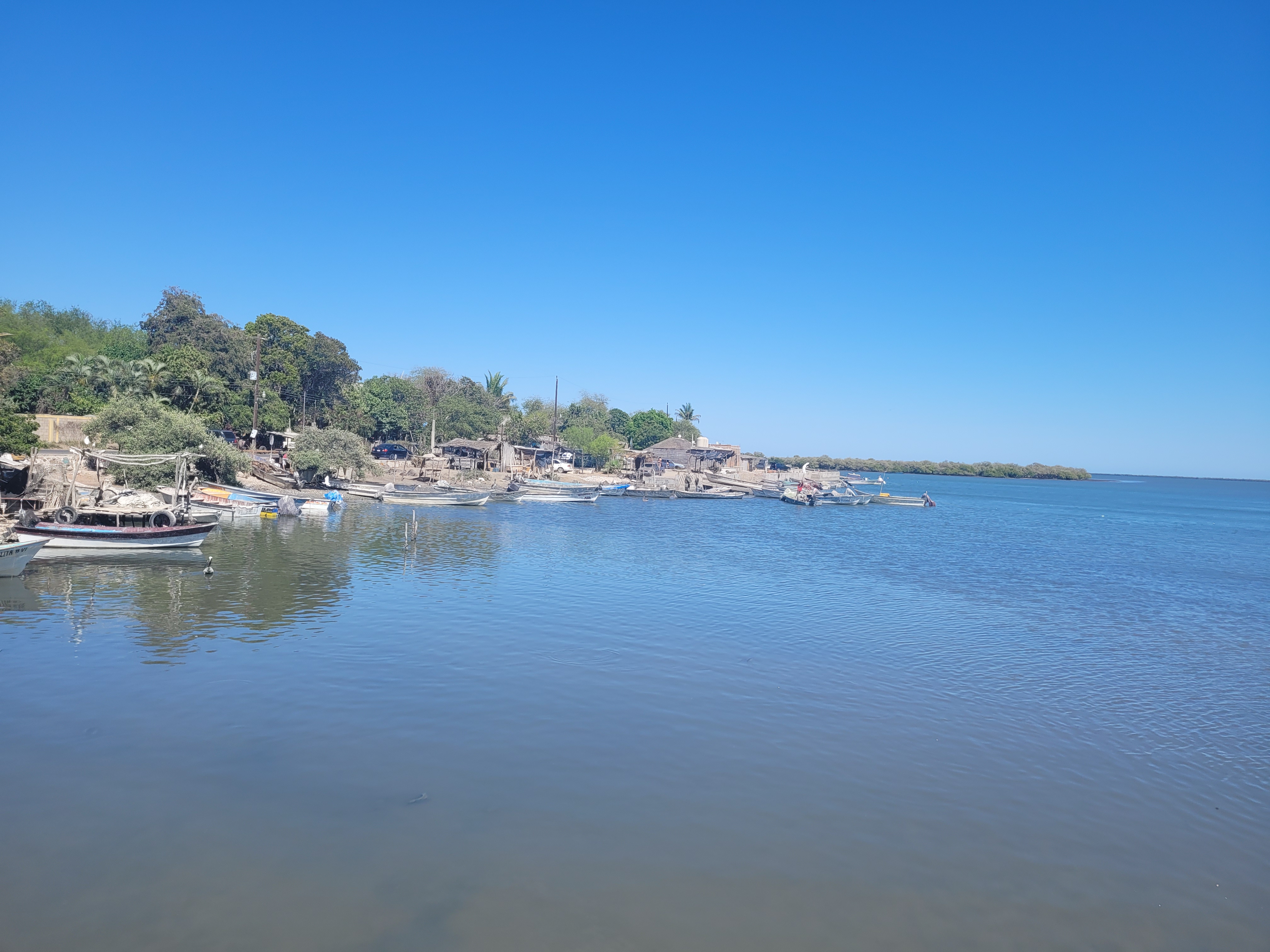 Mariscos El Beny image 8