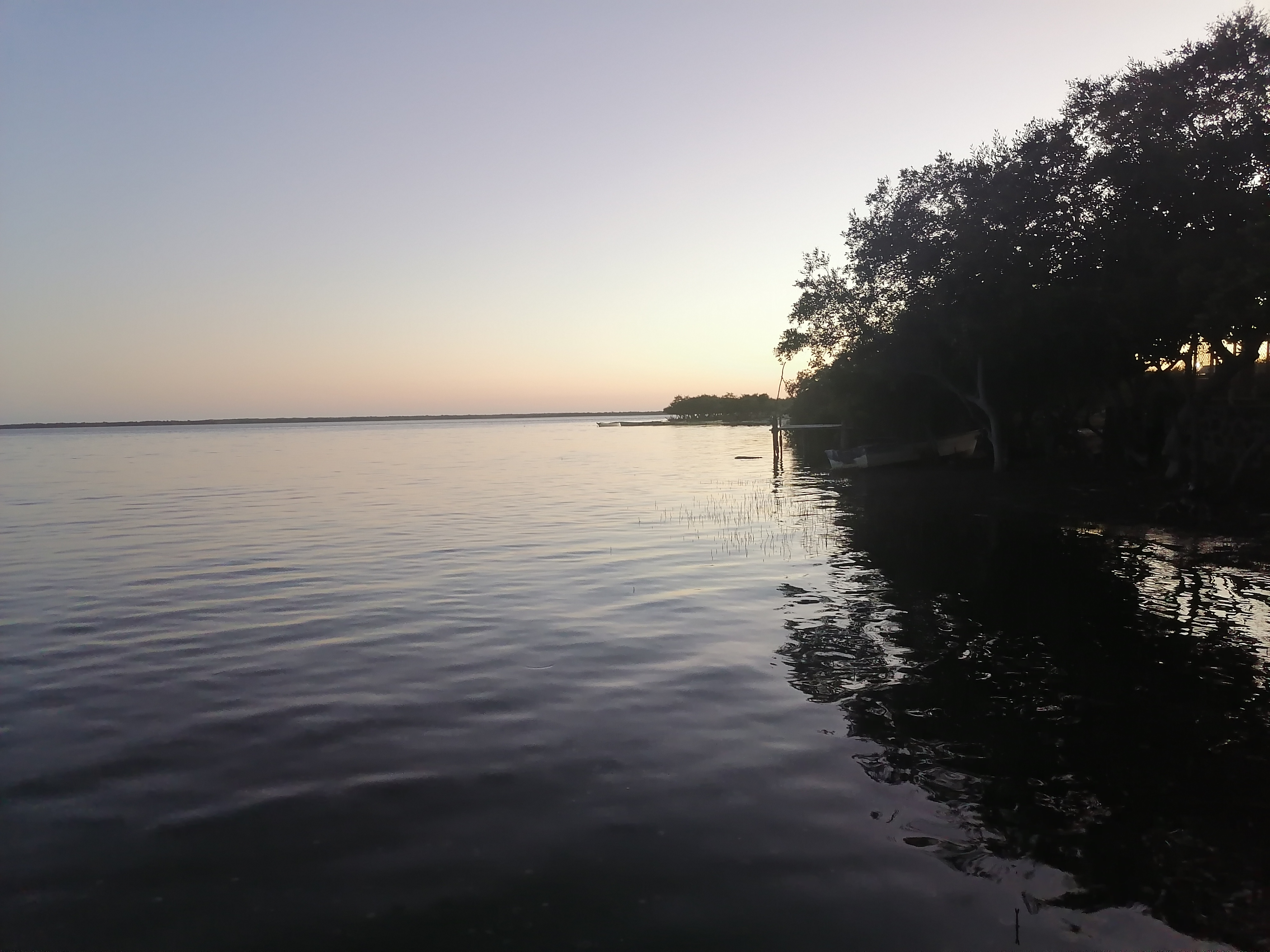 Mariscos La Bahía 3 image 4