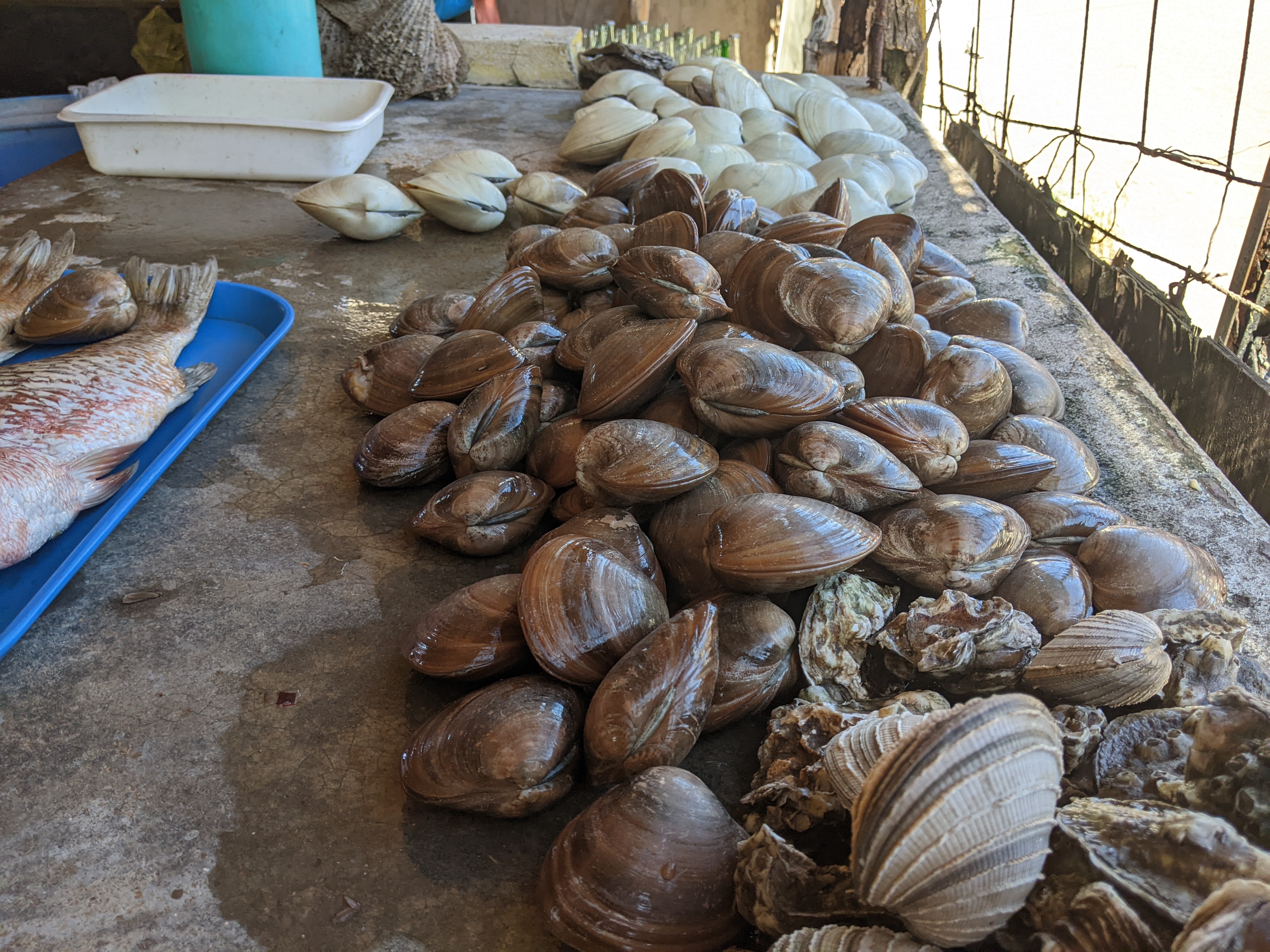 Ramadita Jerusalen image 2