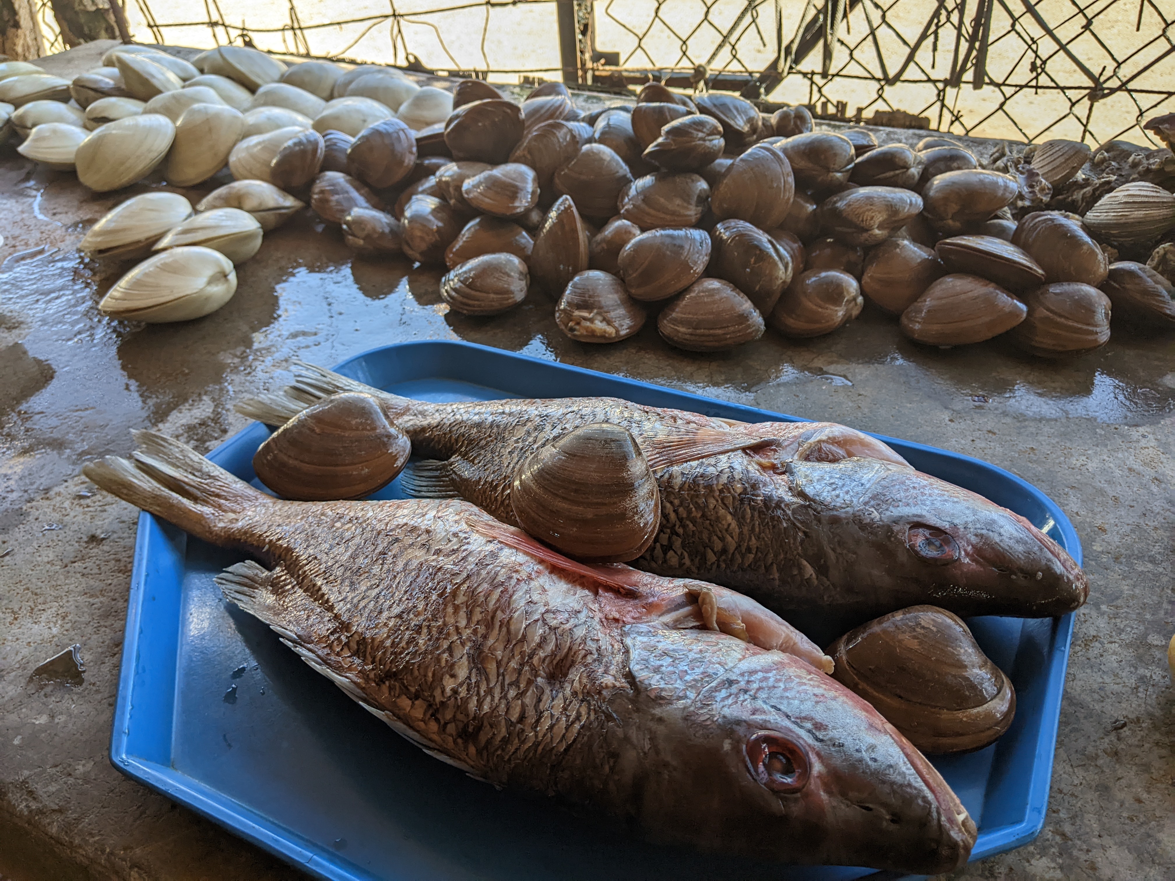 Ramadita Jerusalen image 5