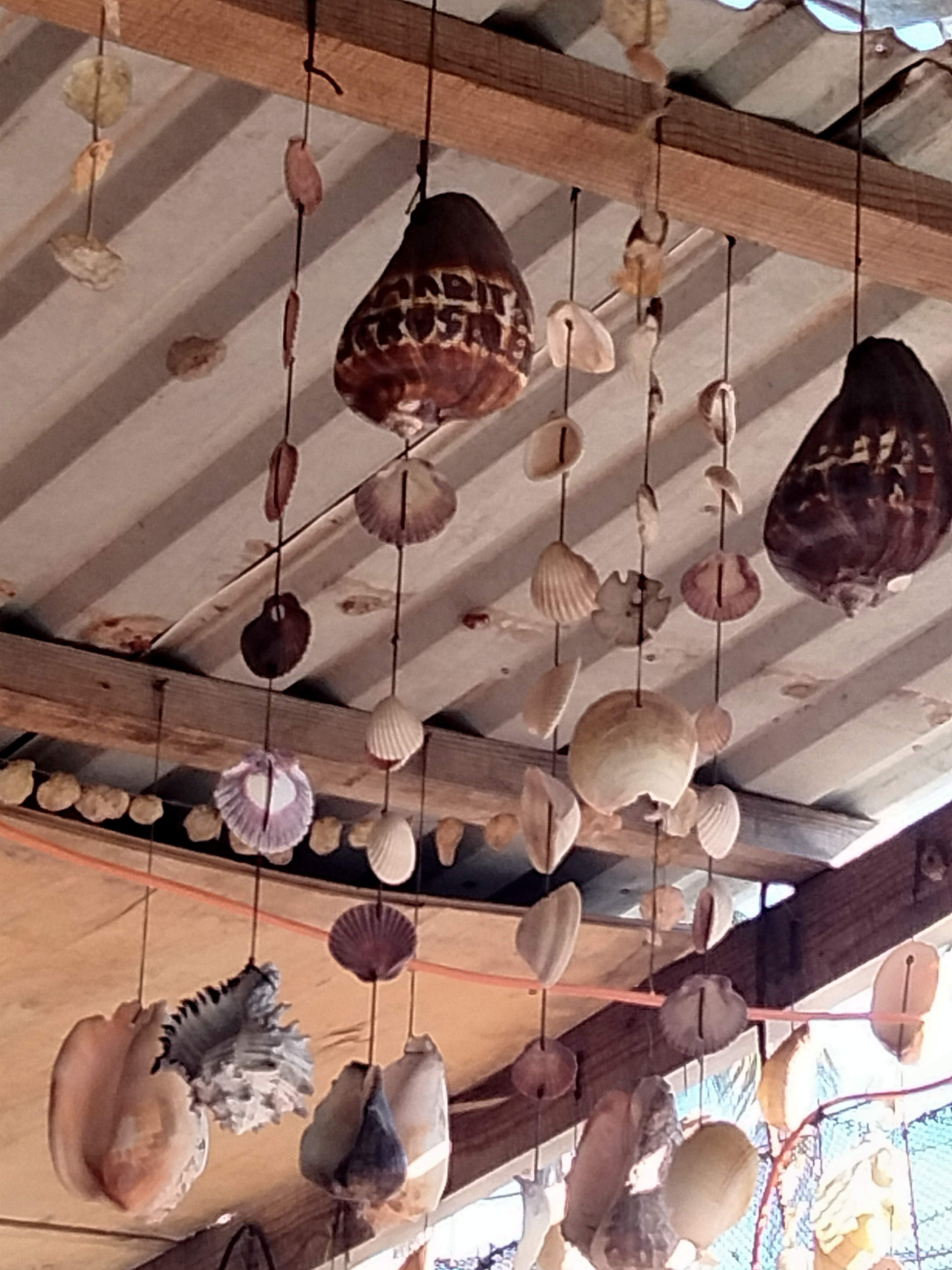 Ramadita Jerusalen image 7