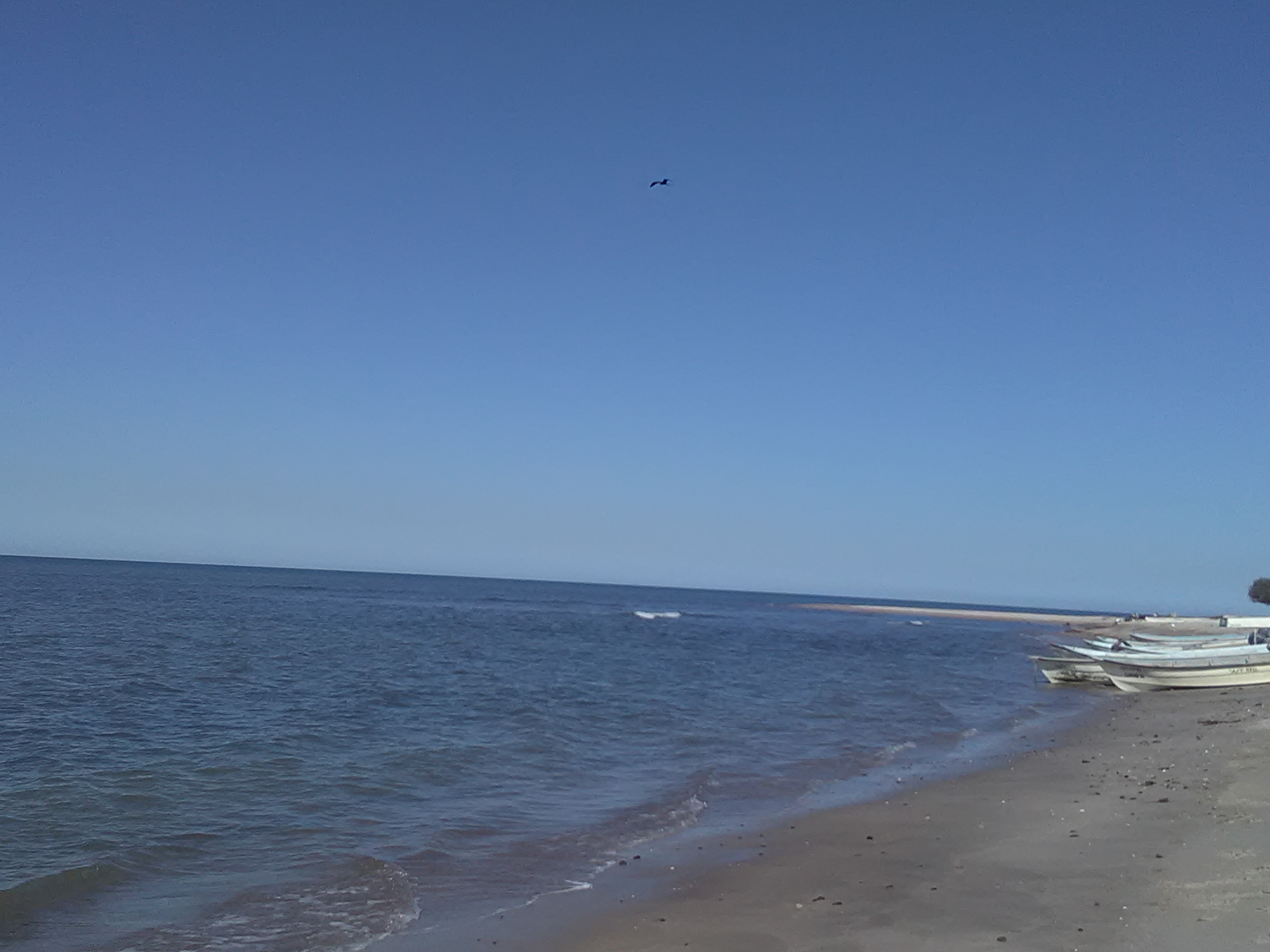 Mariscos "El Ancla" image 6