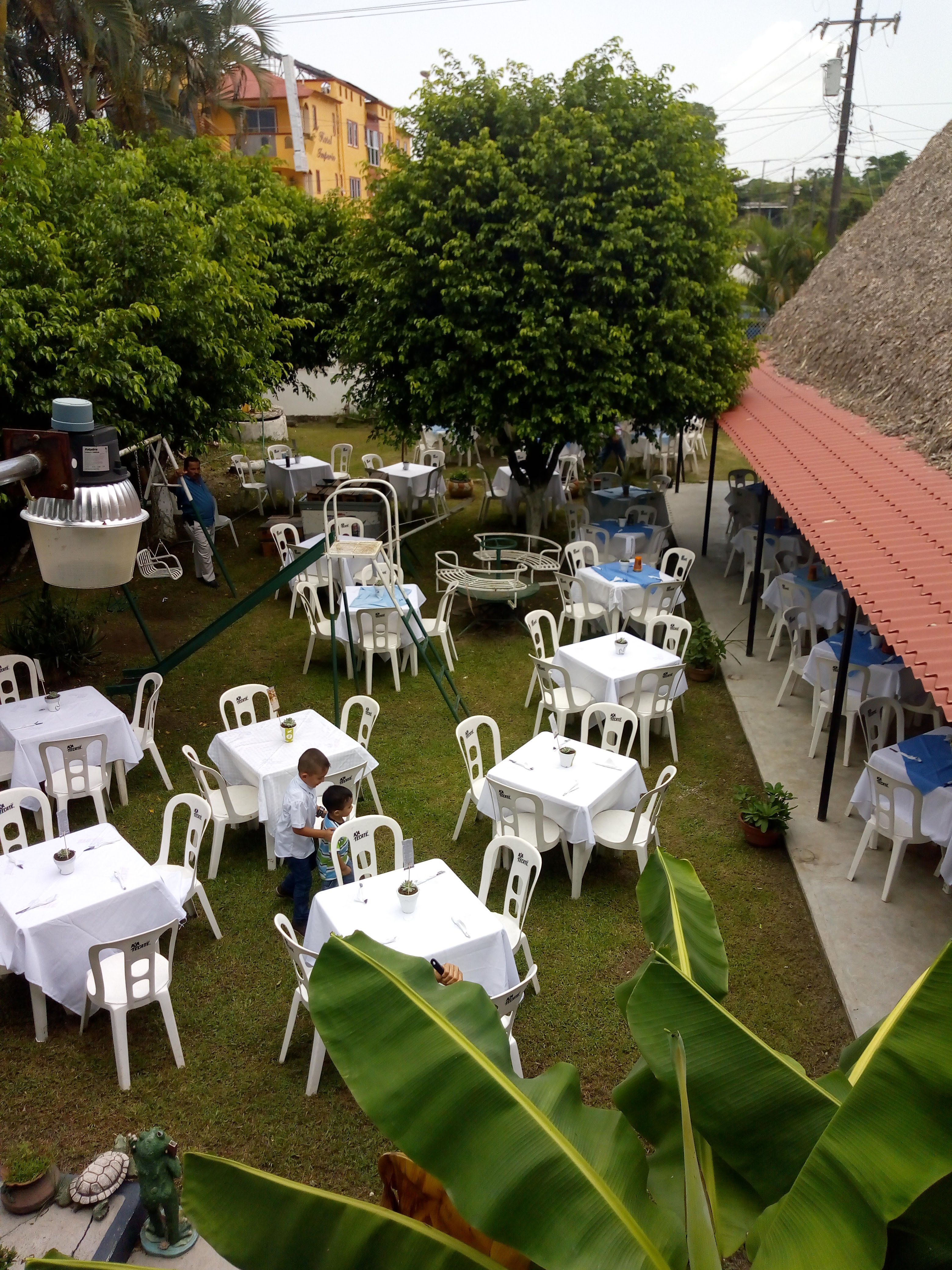 restaurant la selva image 1