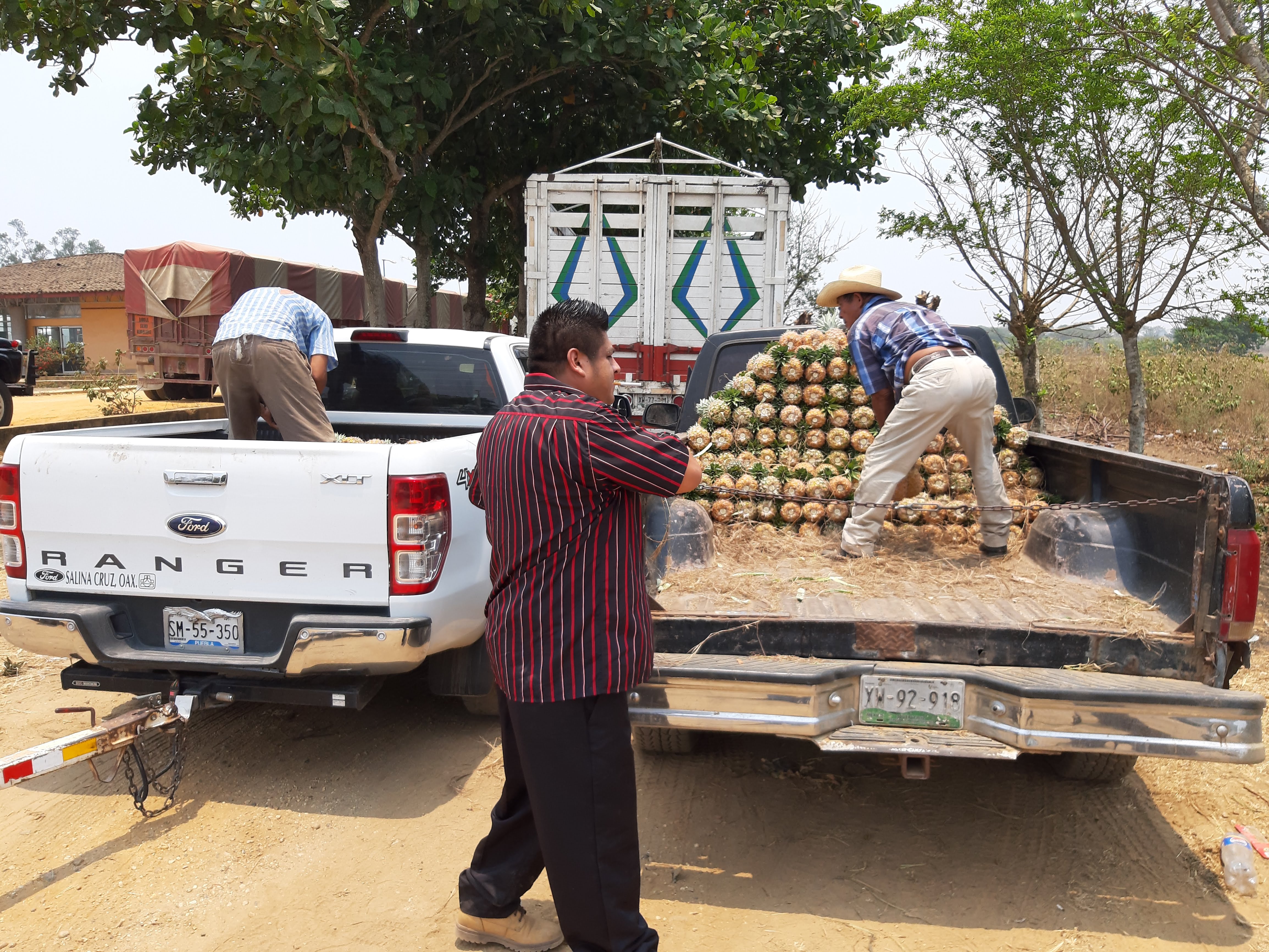Restaurante Hacienda San Marcos image 8