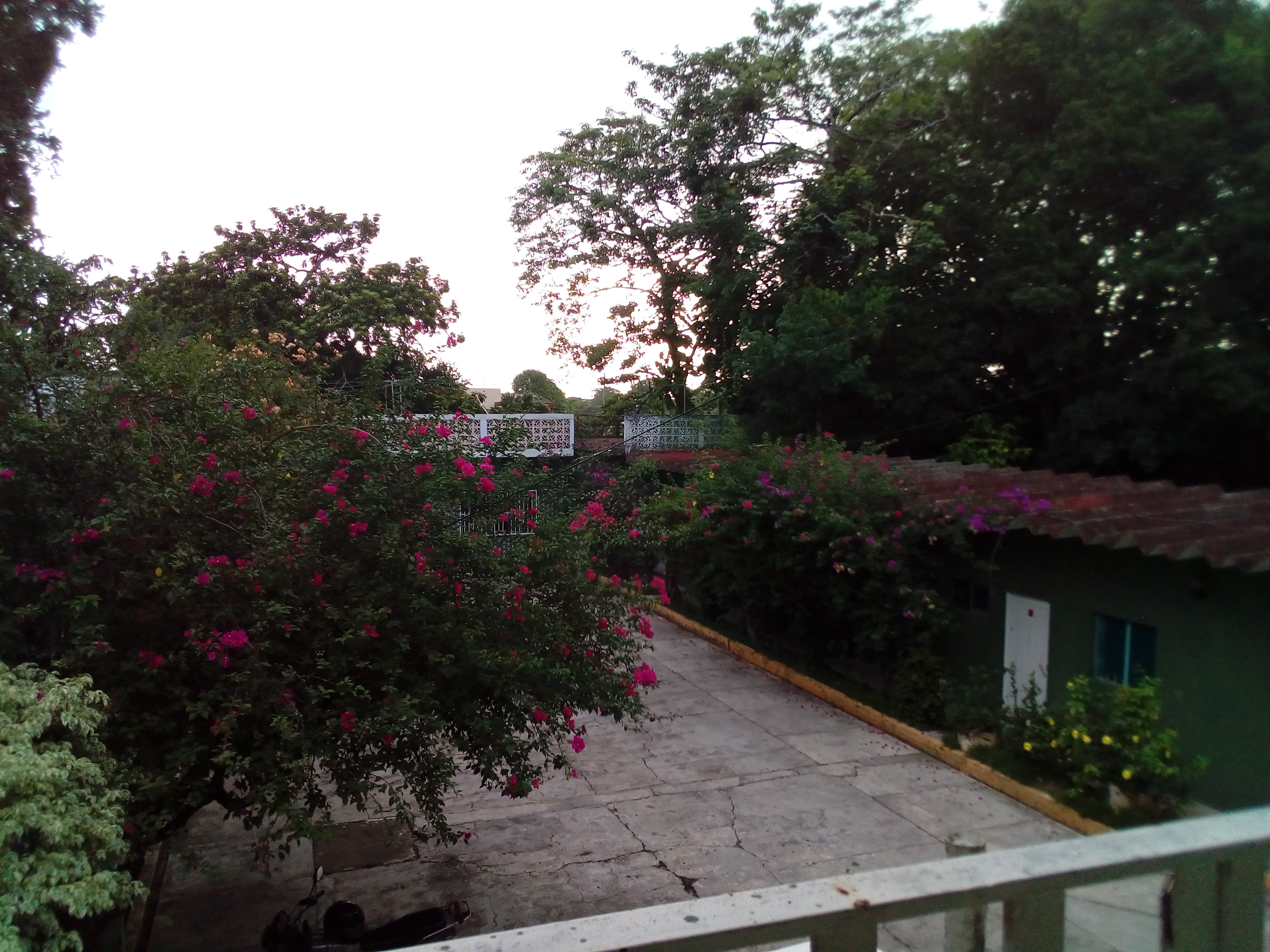 Hotel Cayena S.a D Cv image 3