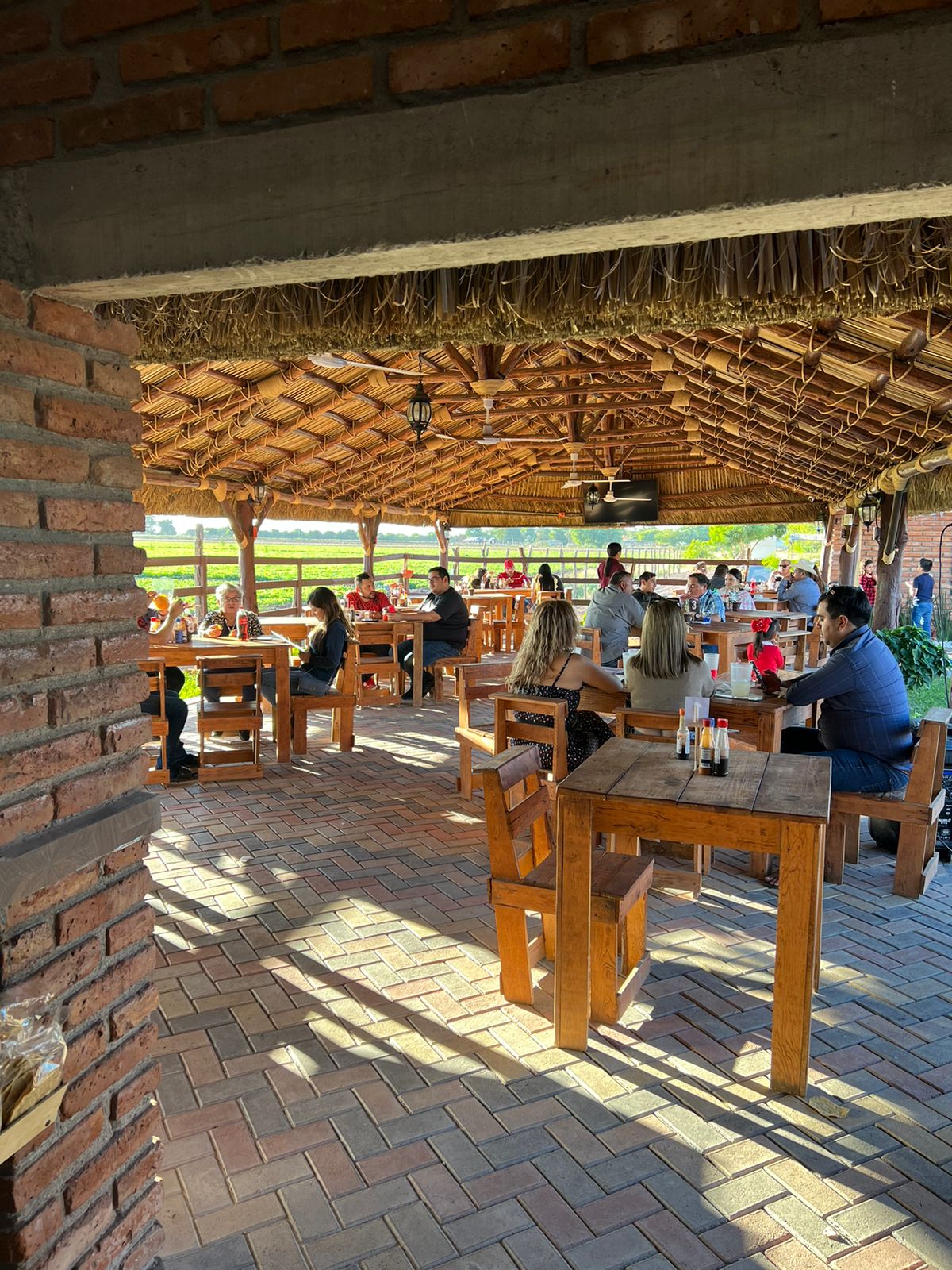 PALAPA POCHOLO COREREPE image 1