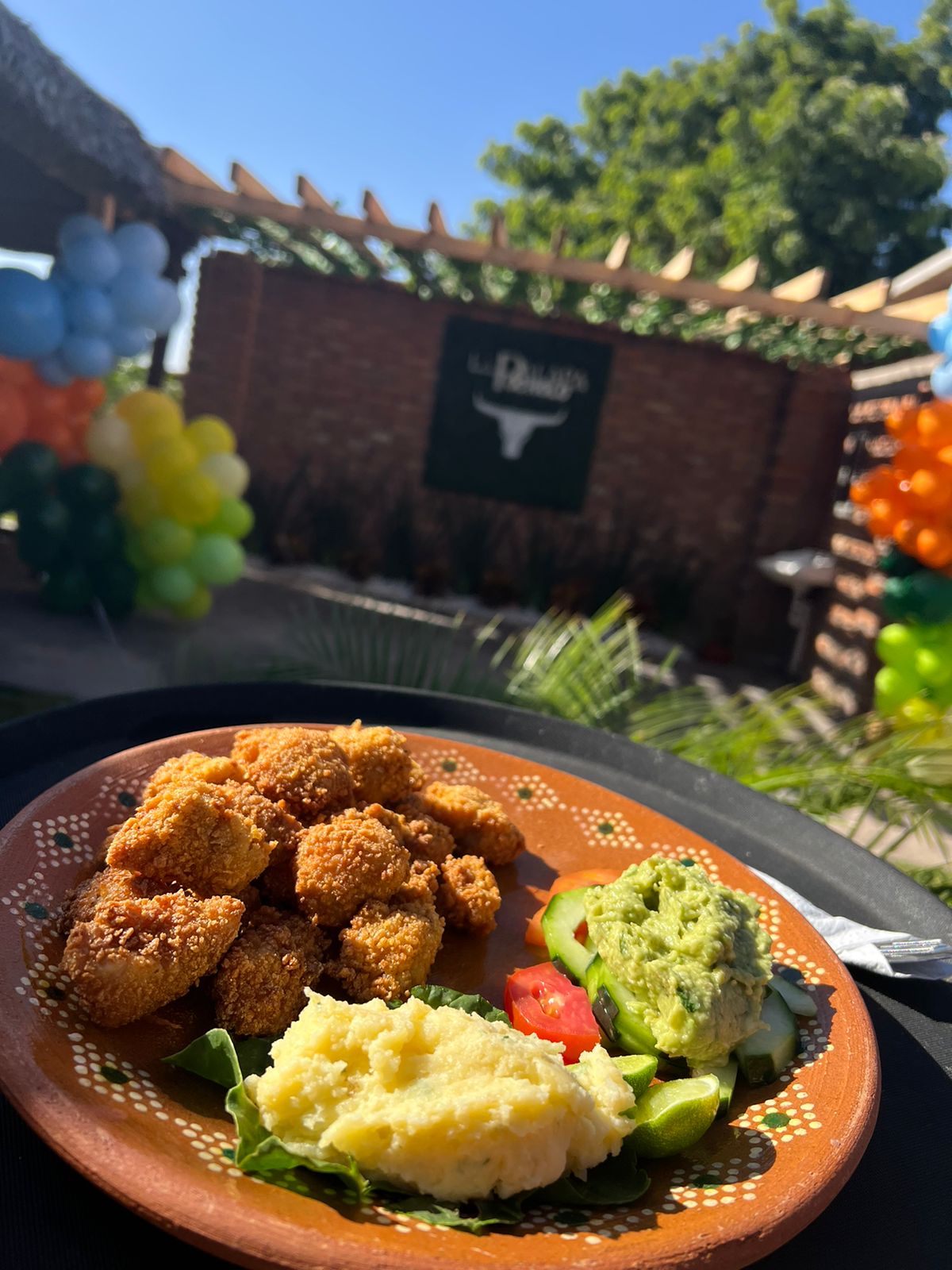 PALAPA POCHOLO COREREPE image 2