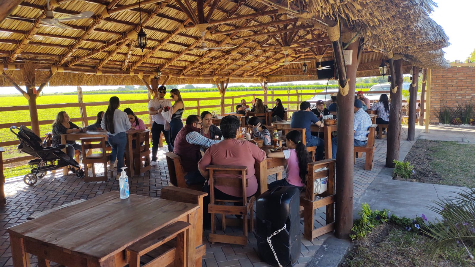 PALAPA POCHOLO COREREPE image 3