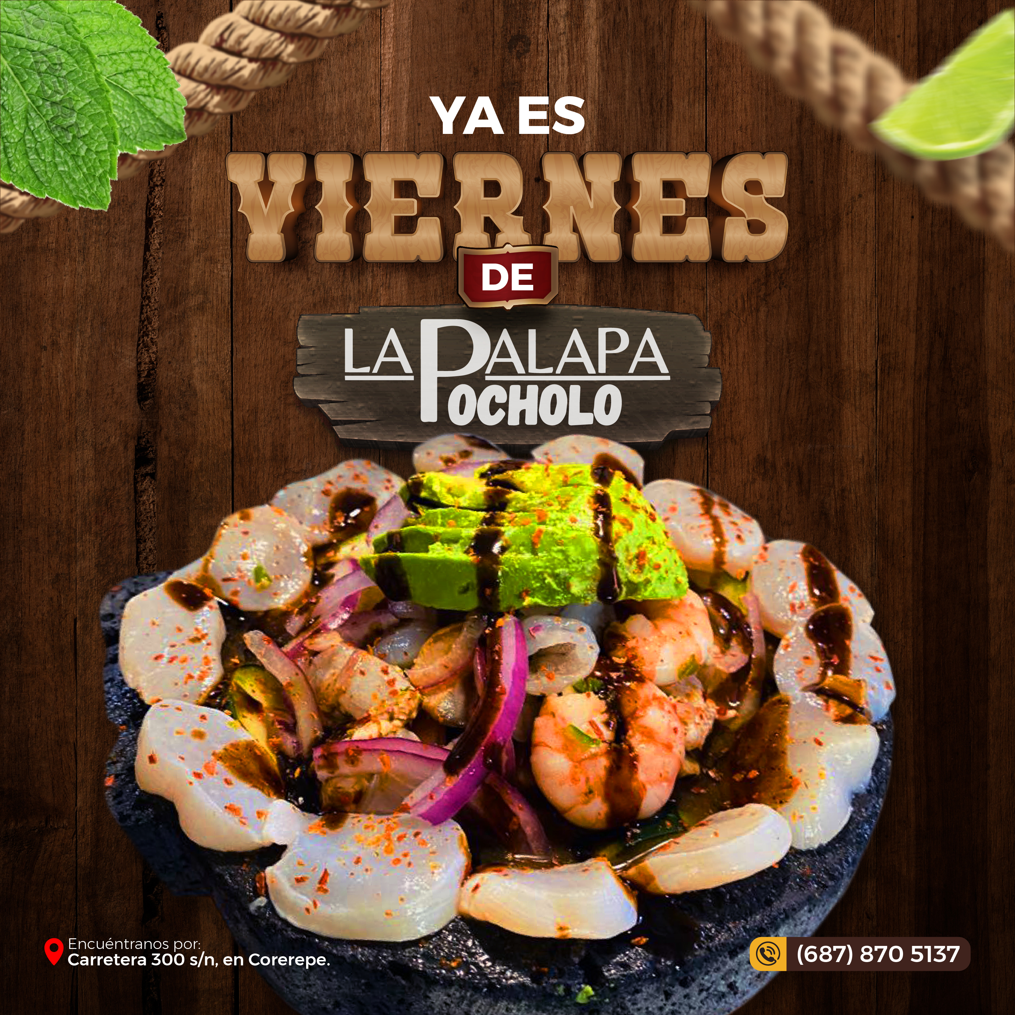 PALAPA POCHOLO COREREPE image 4