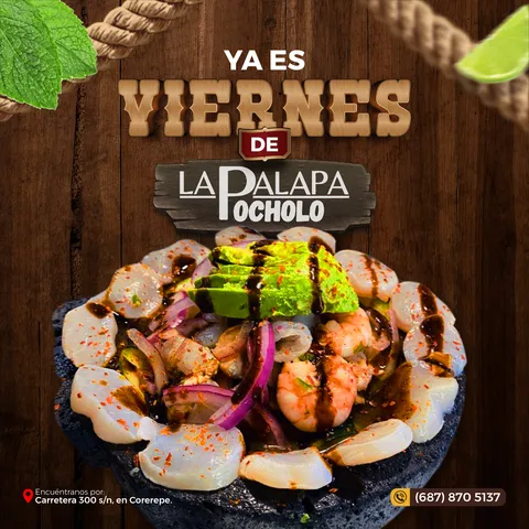 PALAPA POCHOLO COREREPE image 4