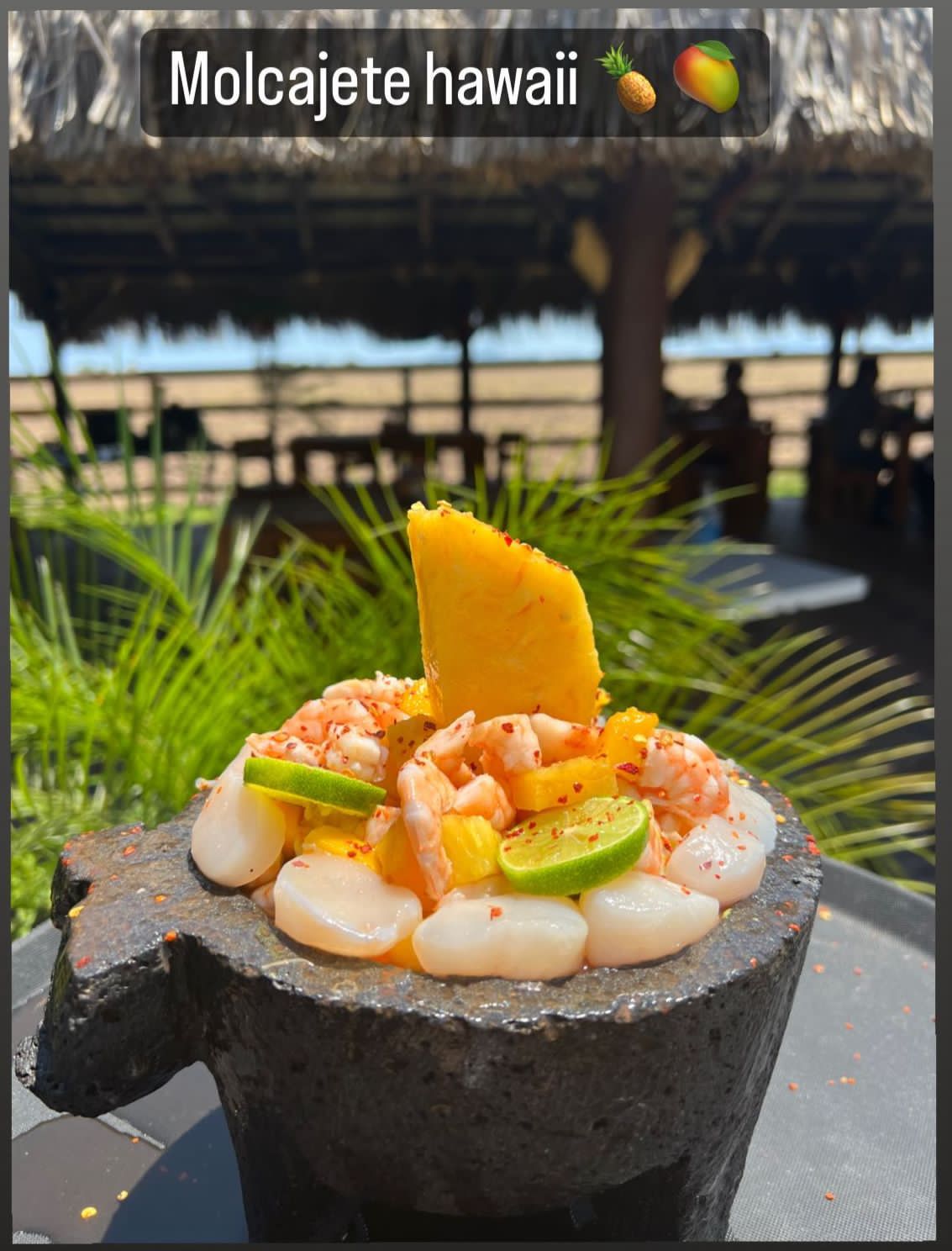 PALAPA POCHOLO COREREPE image 5