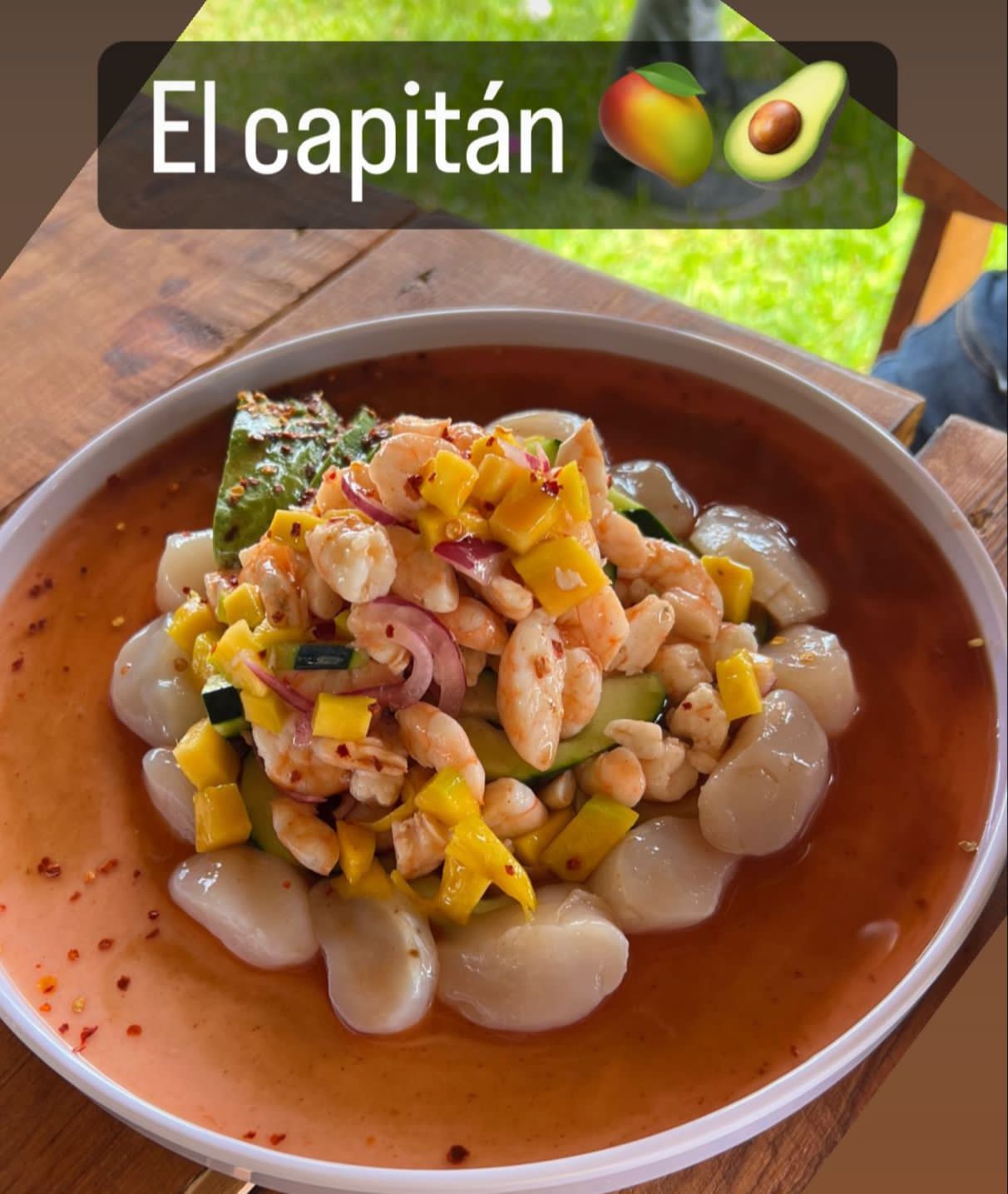 PALAPA POCHOLO COREREPE image 6