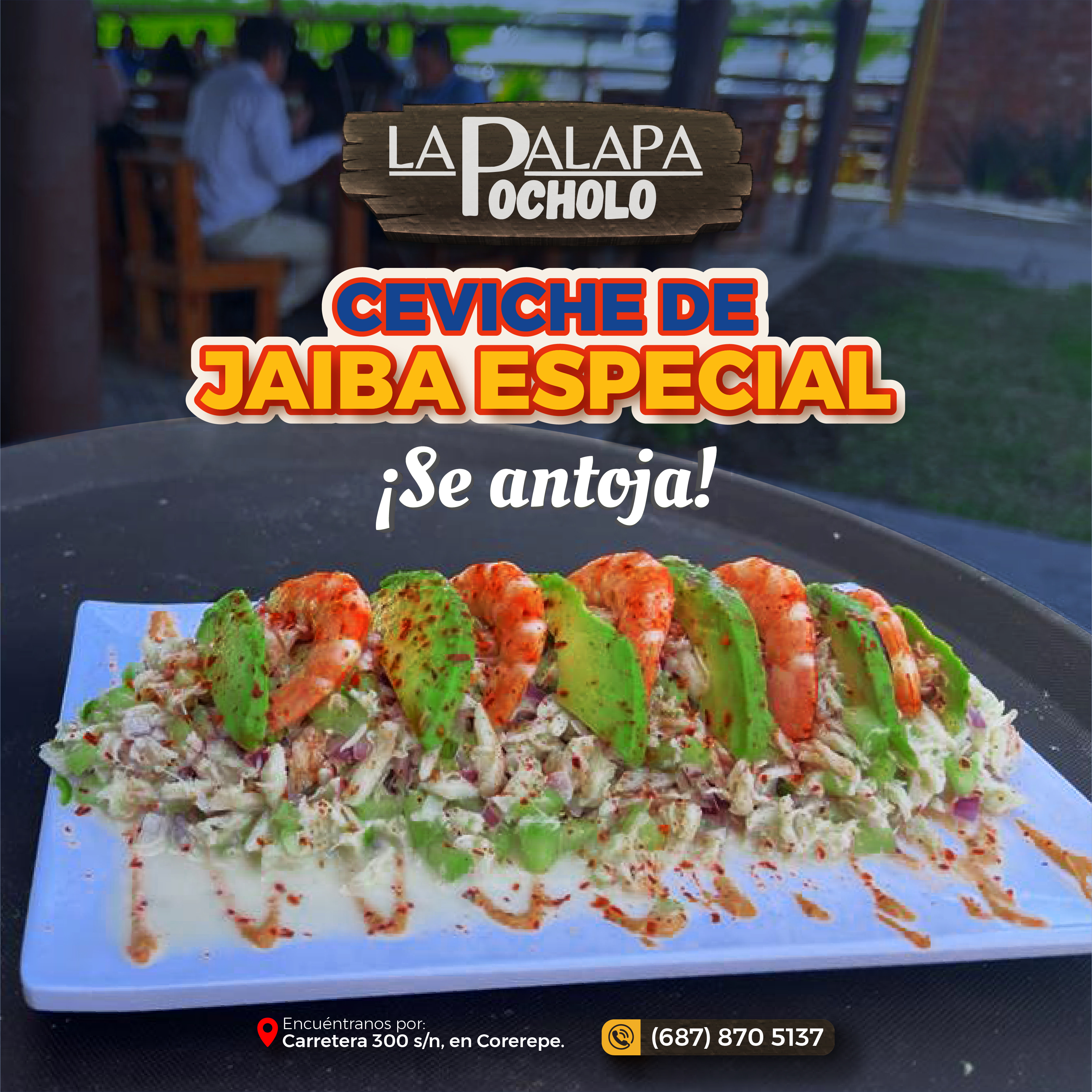 PALAPA POCHOLO COREREPE image 7